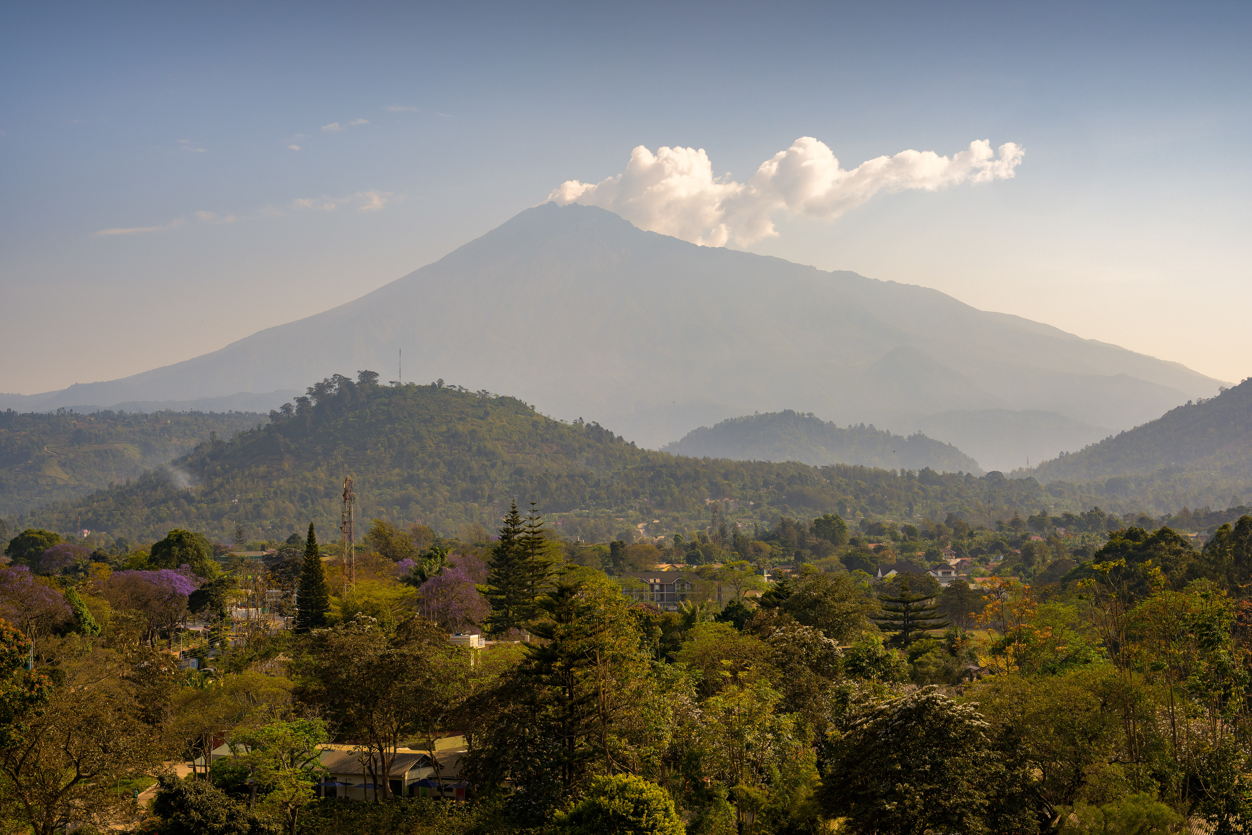 Volcano landscape: misty peak, green hills, valley town with jacaranda trees.