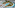 Tropical resort aerial: sprawling blue pools, palm trees, and modern buildings.