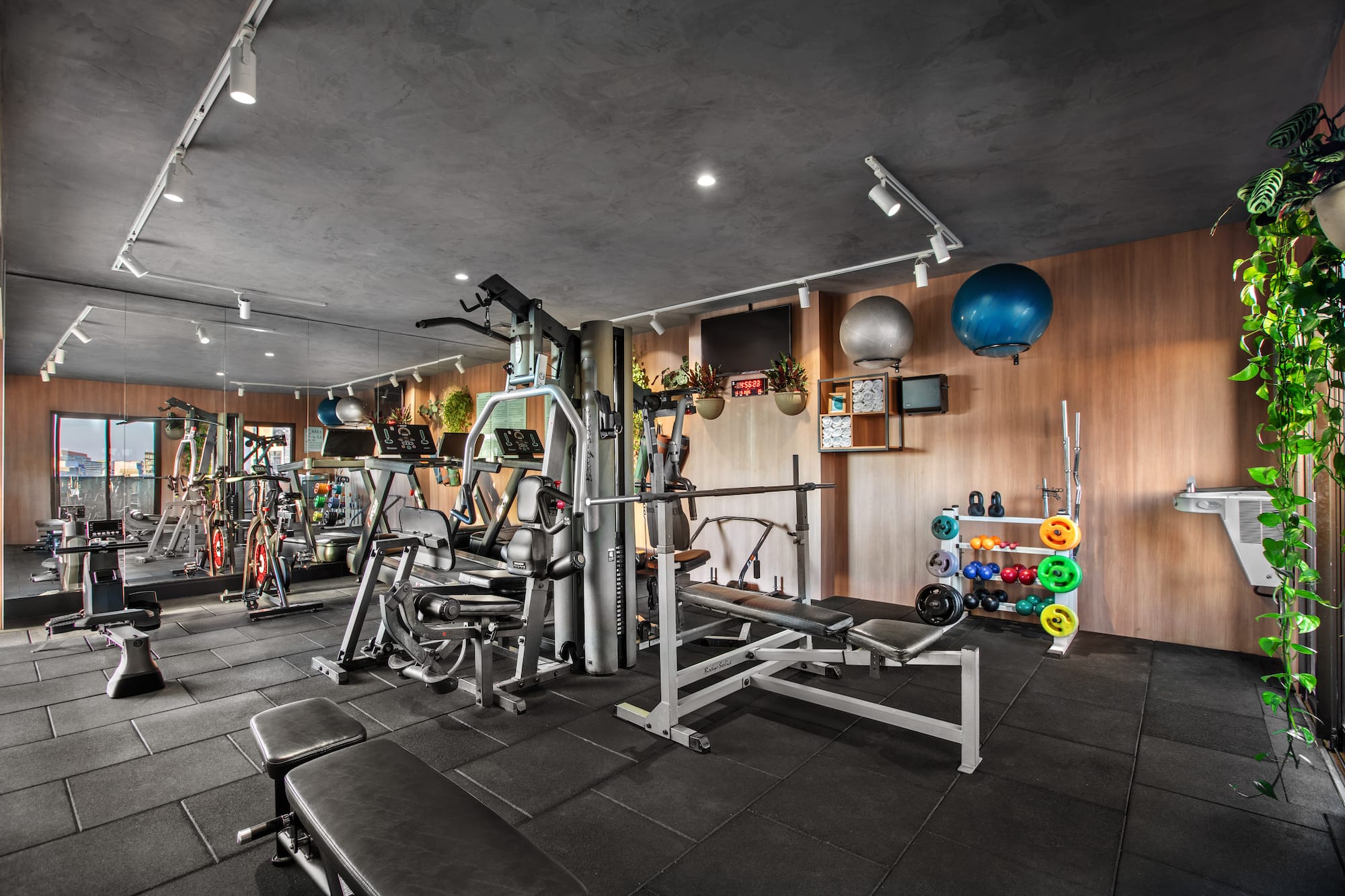 Modern gym with treadmills, weight machines, benches, and colorful dumbbells.