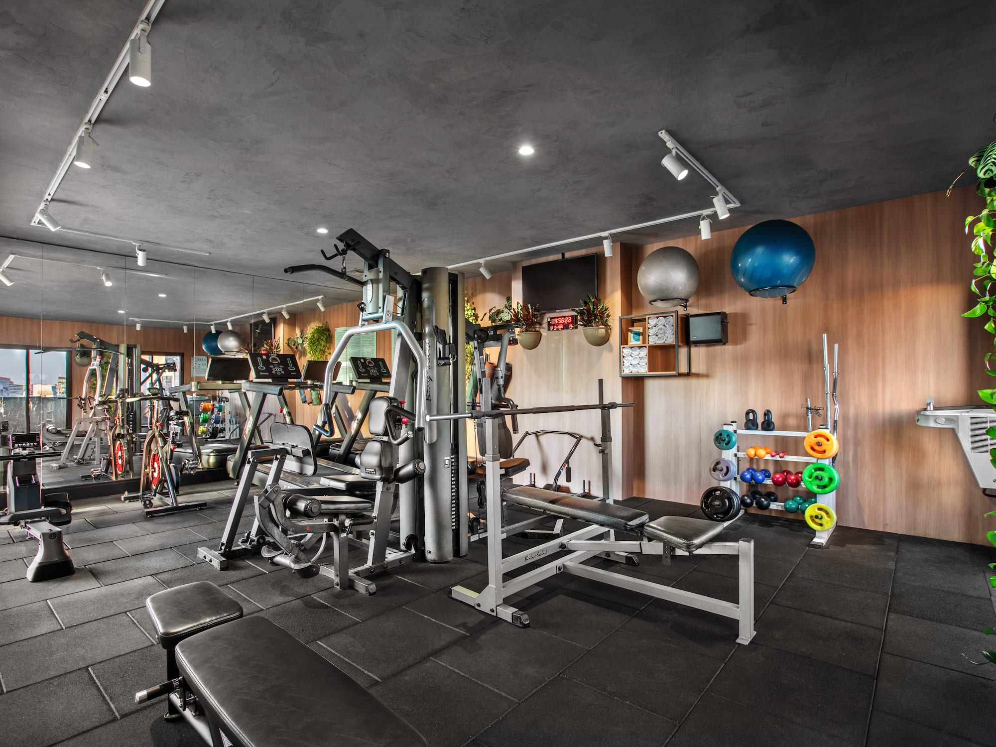 Modern gym with treadmills, weight machines, benches, and colorful dumbbells.