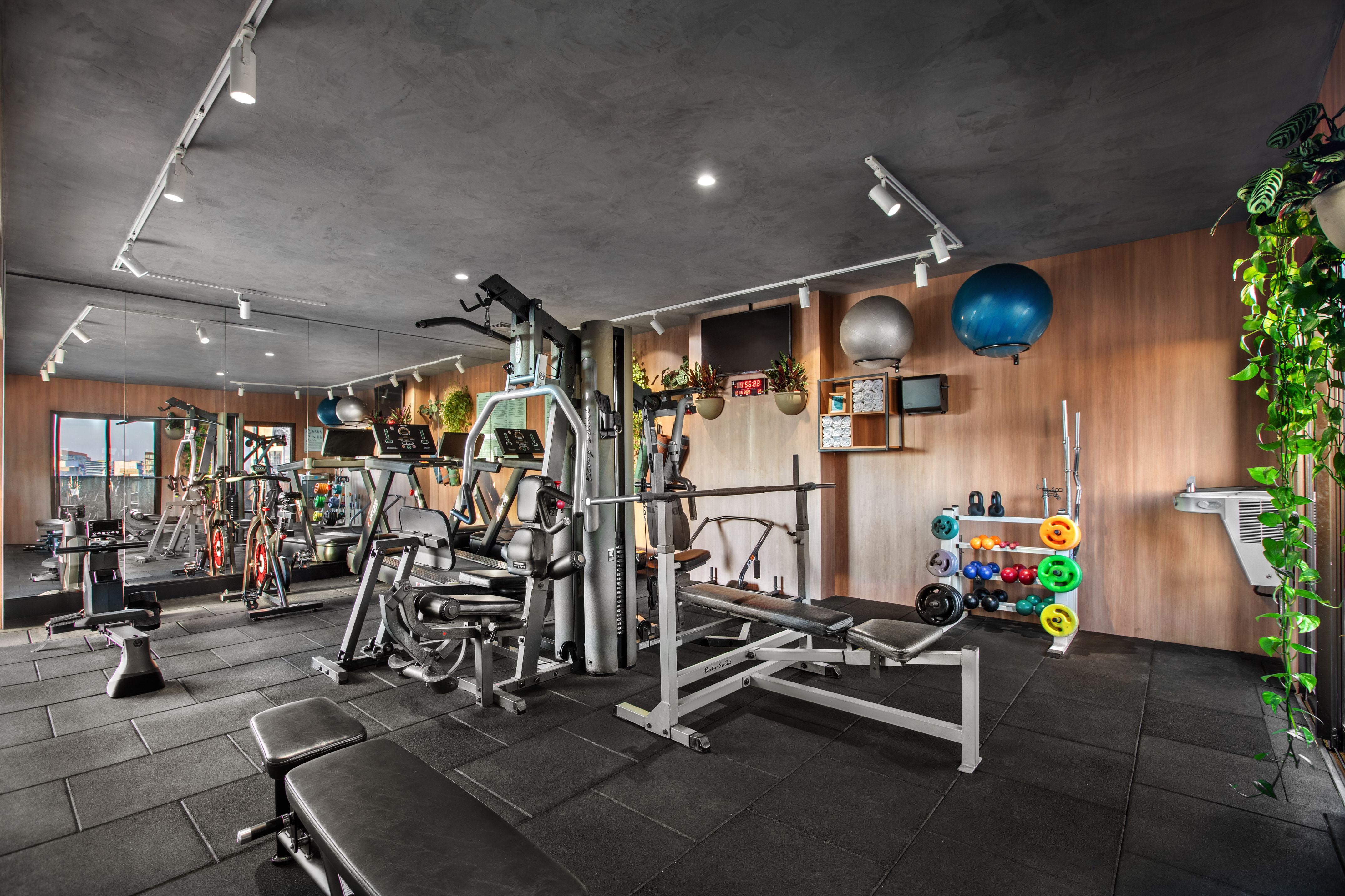 Modern gym with treadmills, weight machines, benches, and colorful dumbbells.