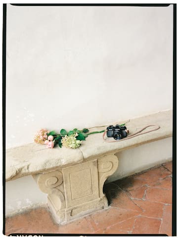 a camera and flowers on a stone bench