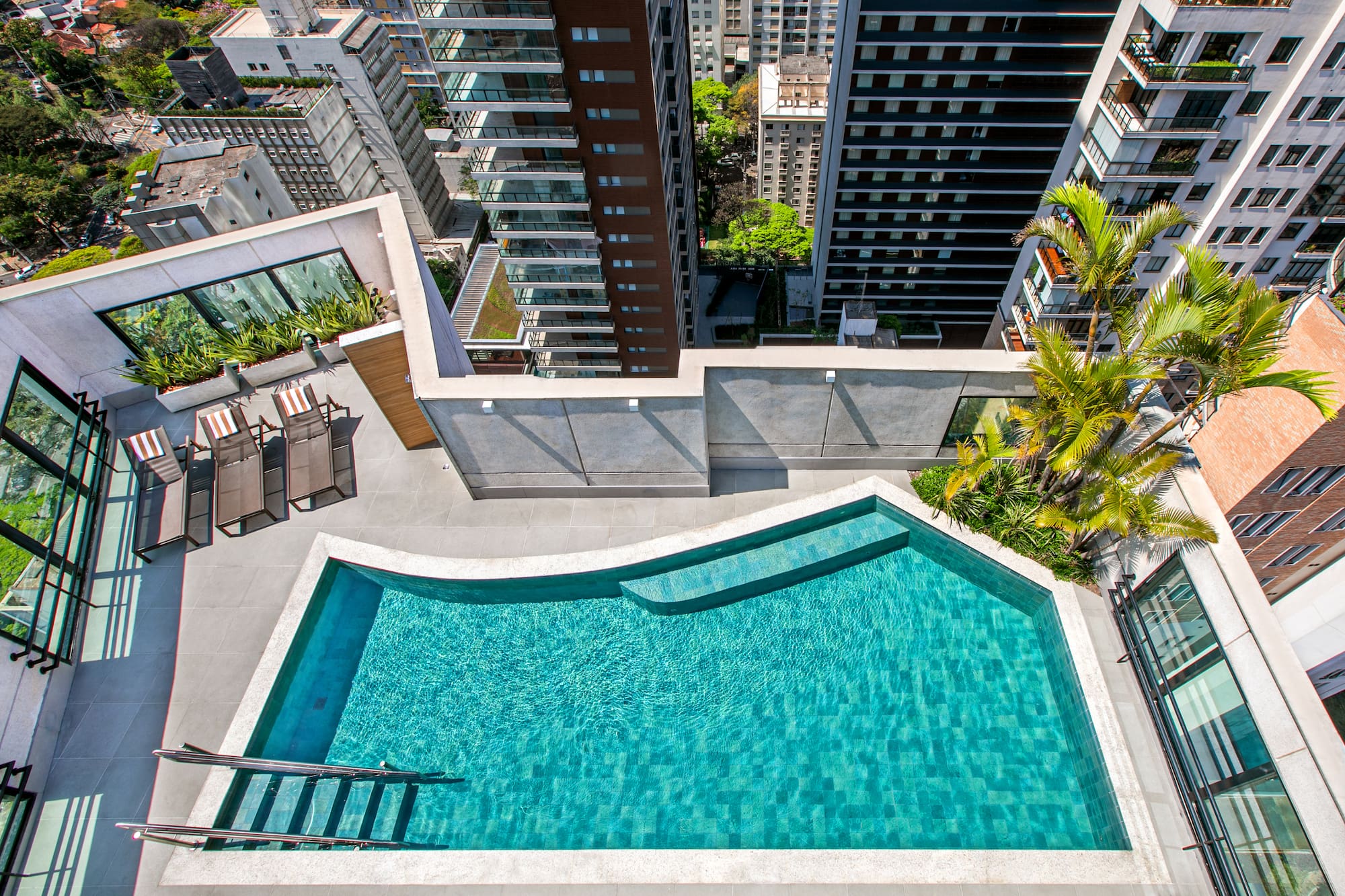 Modern rooftop pool with lounge chairs, palm trees, and urban city view.