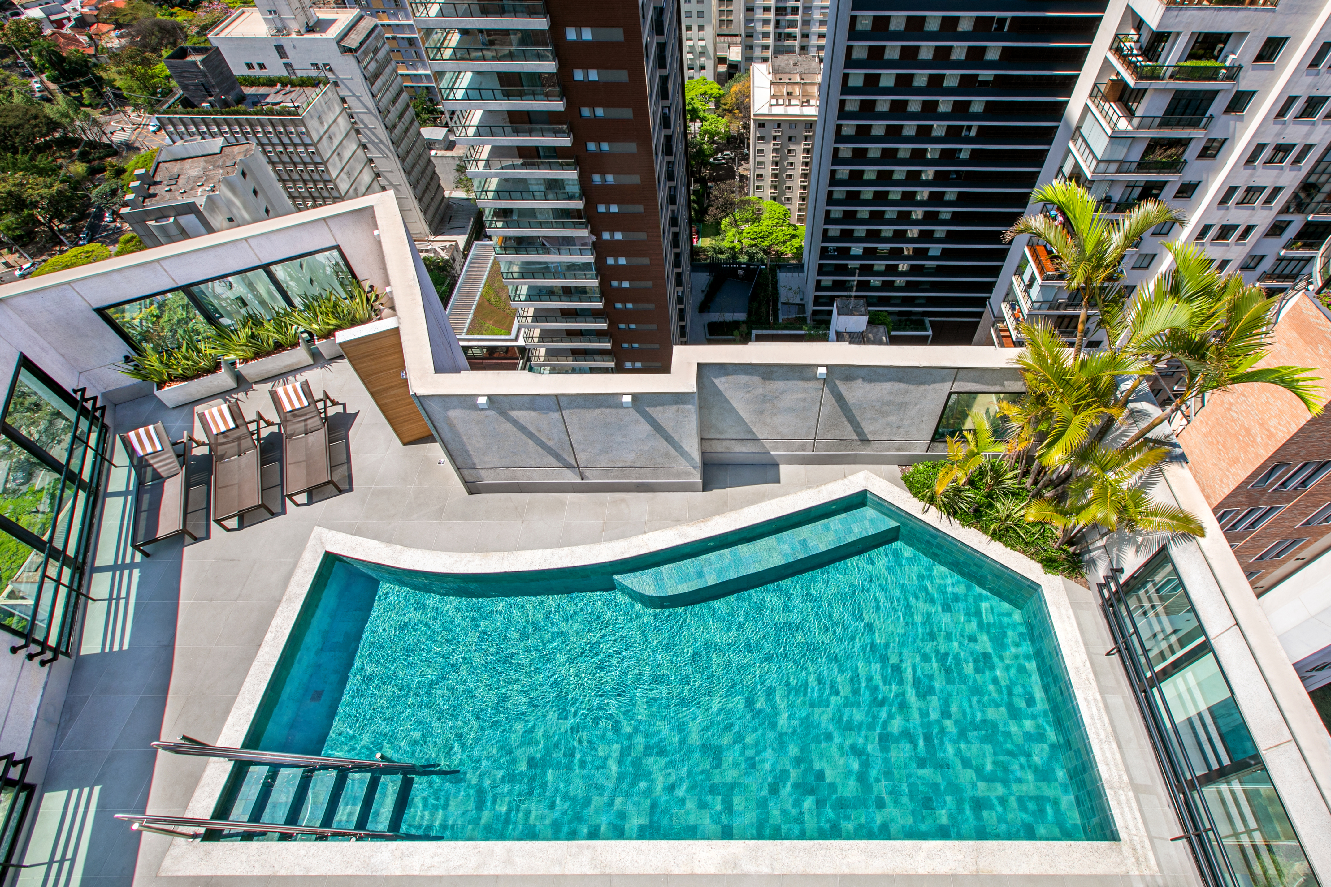 Modern rooftop pool with lounge chairs, palm trees, and urban city view.