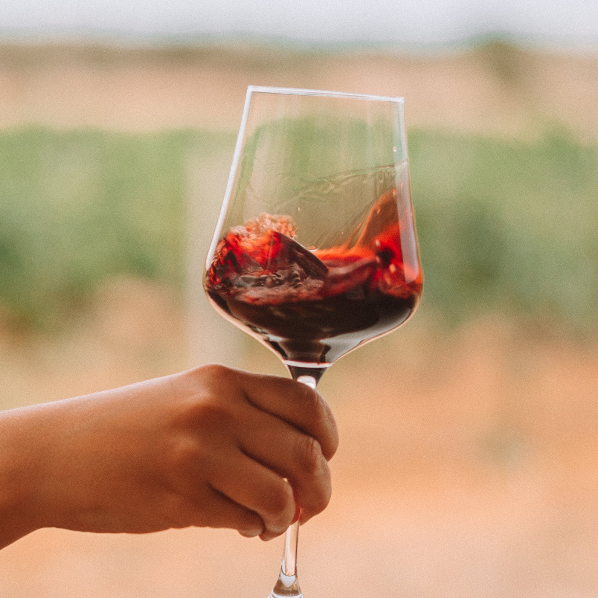 a hand holding a glass of wine