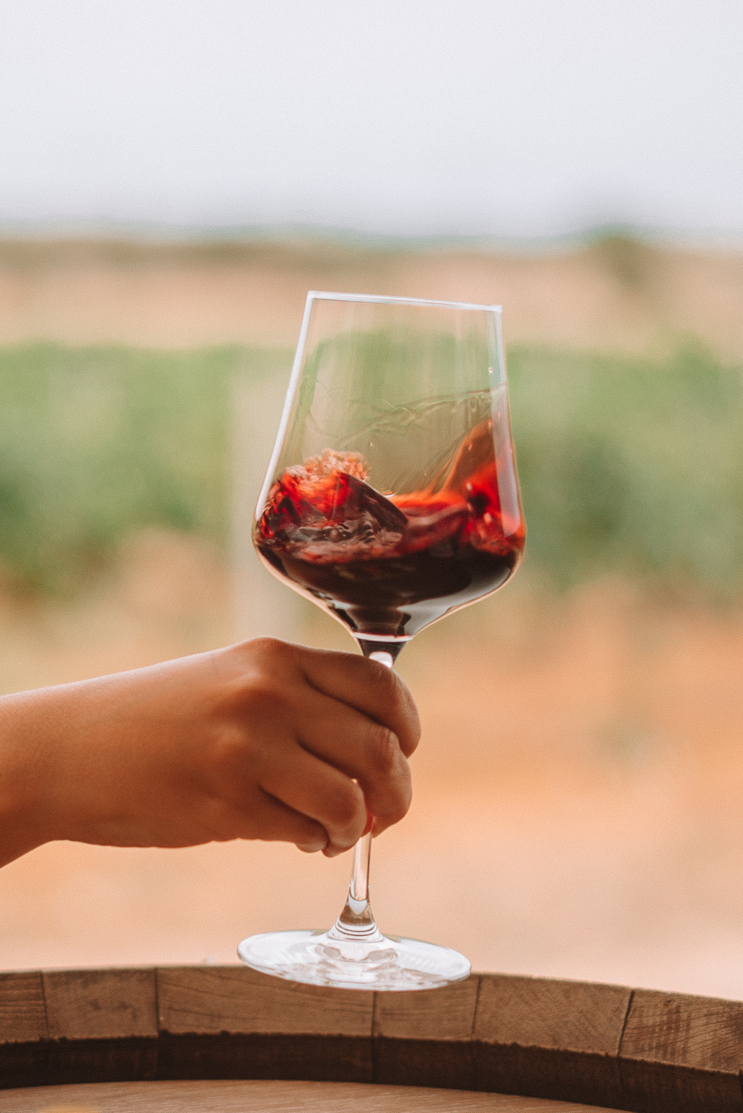 a hand holding a glass of wine