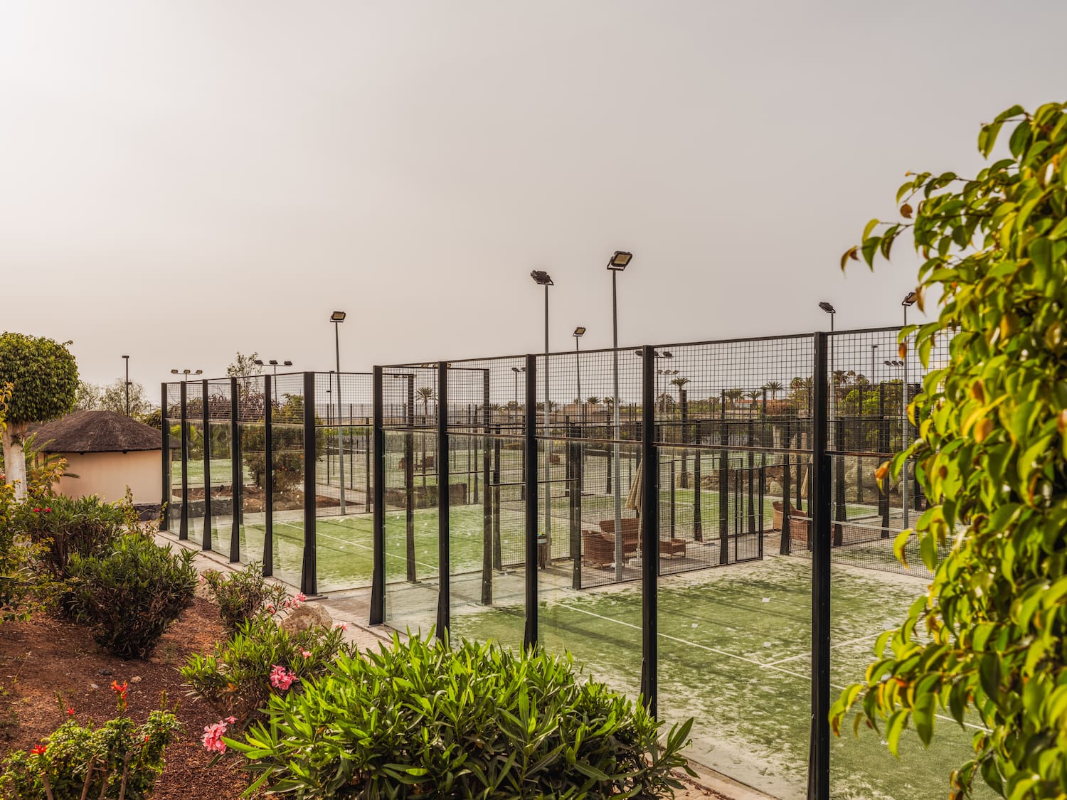 a tennis court with lights and trees