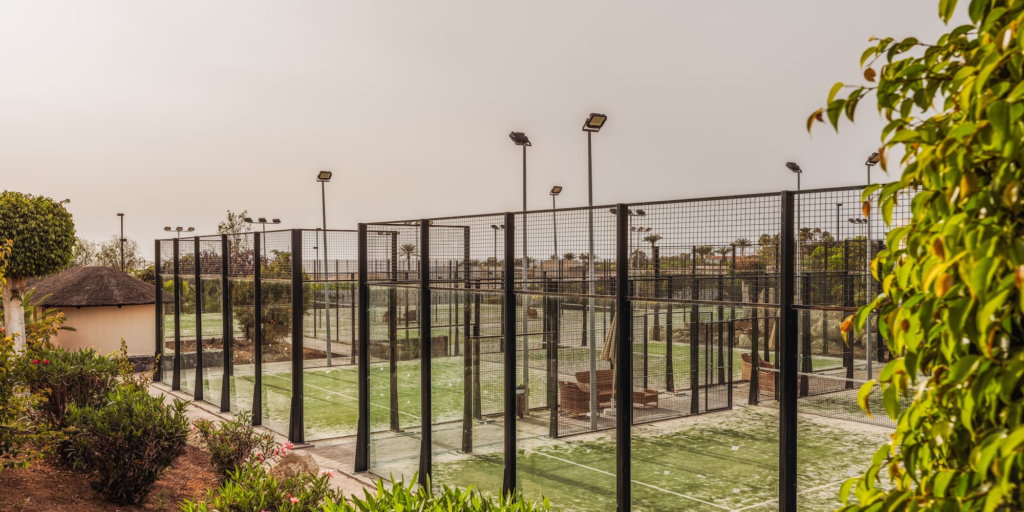 a tennis court with lights and trees