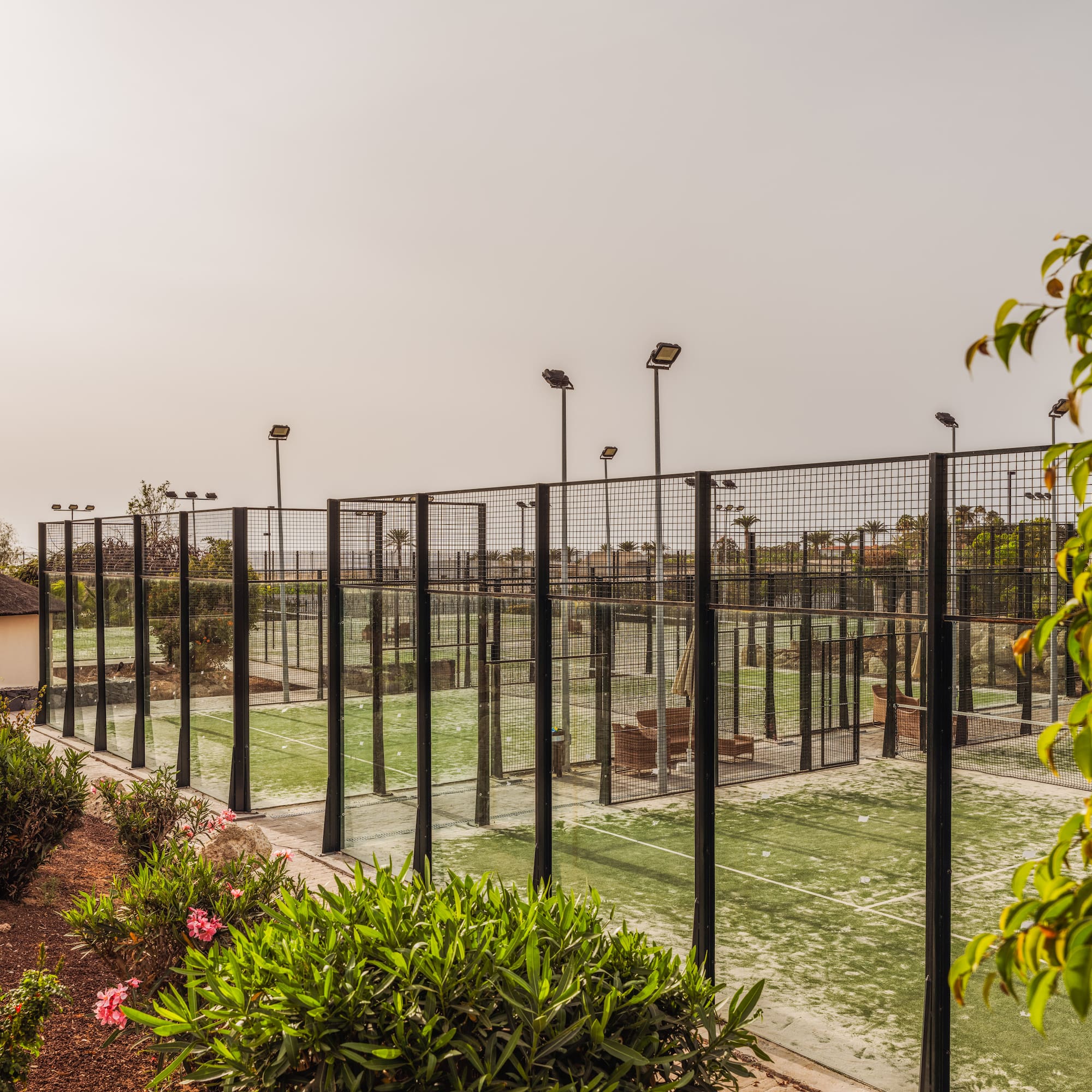 a tennis court with lights and trees