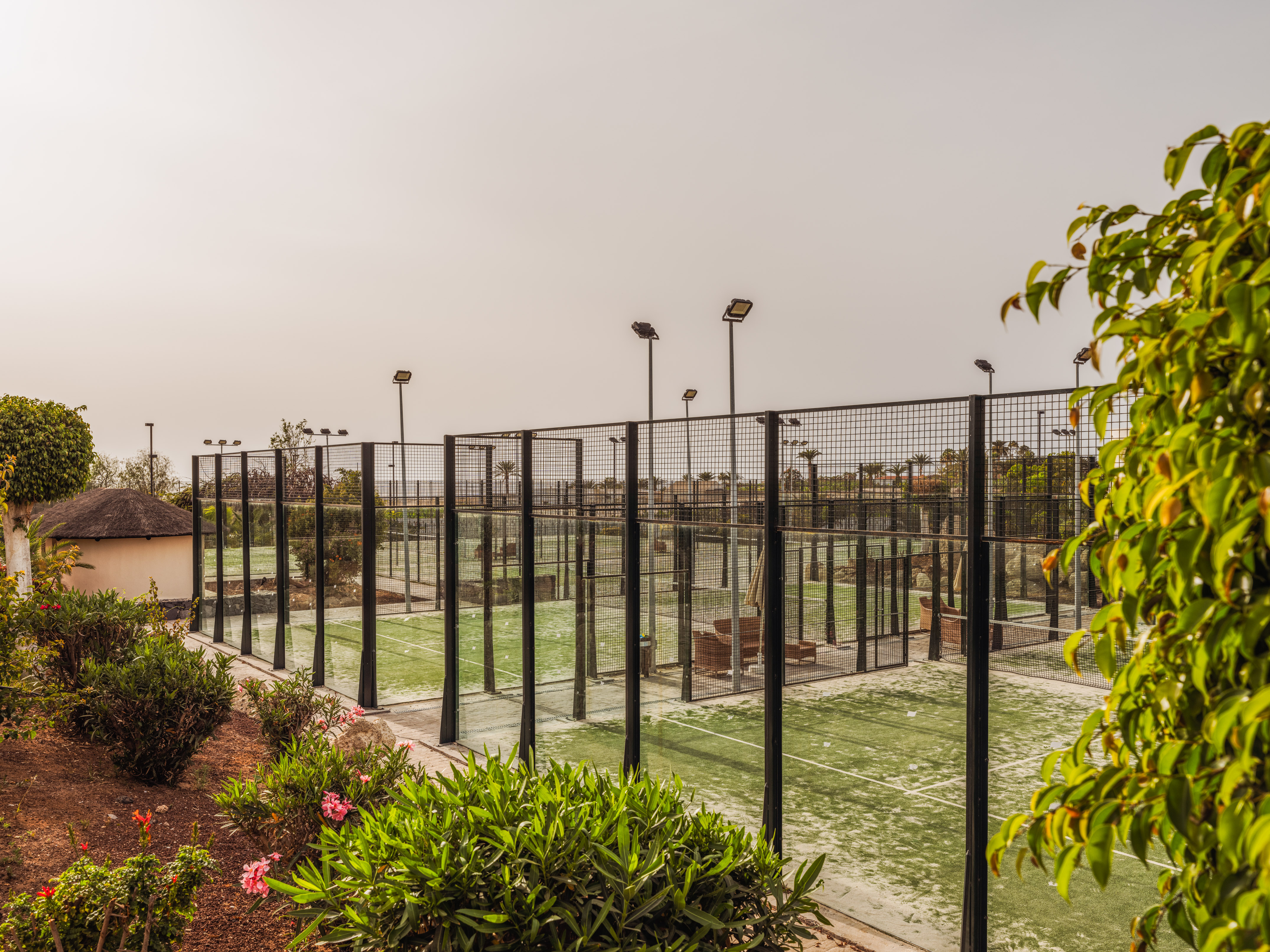 Green outdoor padel courts with wire fencing, glass walls, and floodlights.