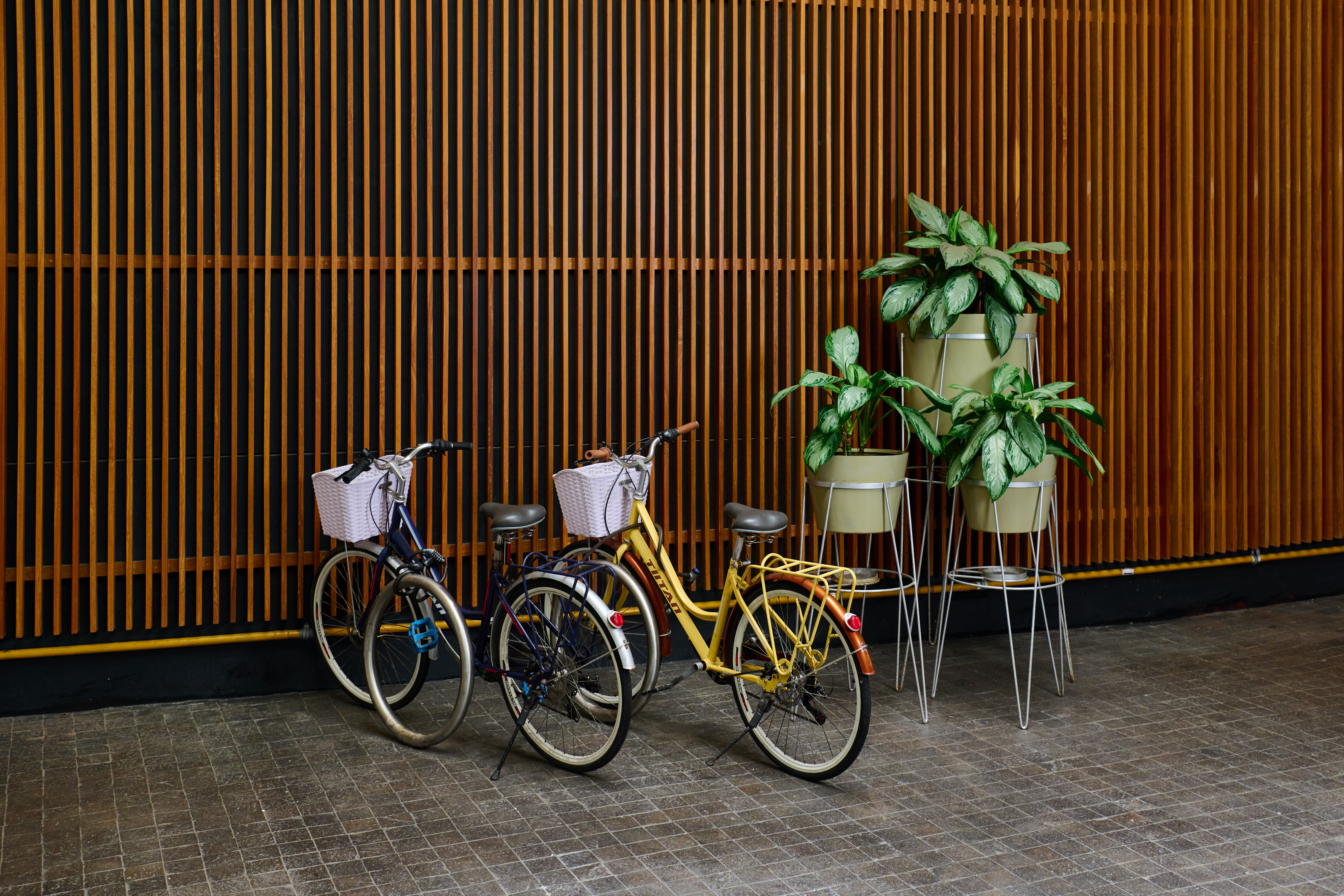 Two bicycles parked against a wooden slat wall with green potted plants.