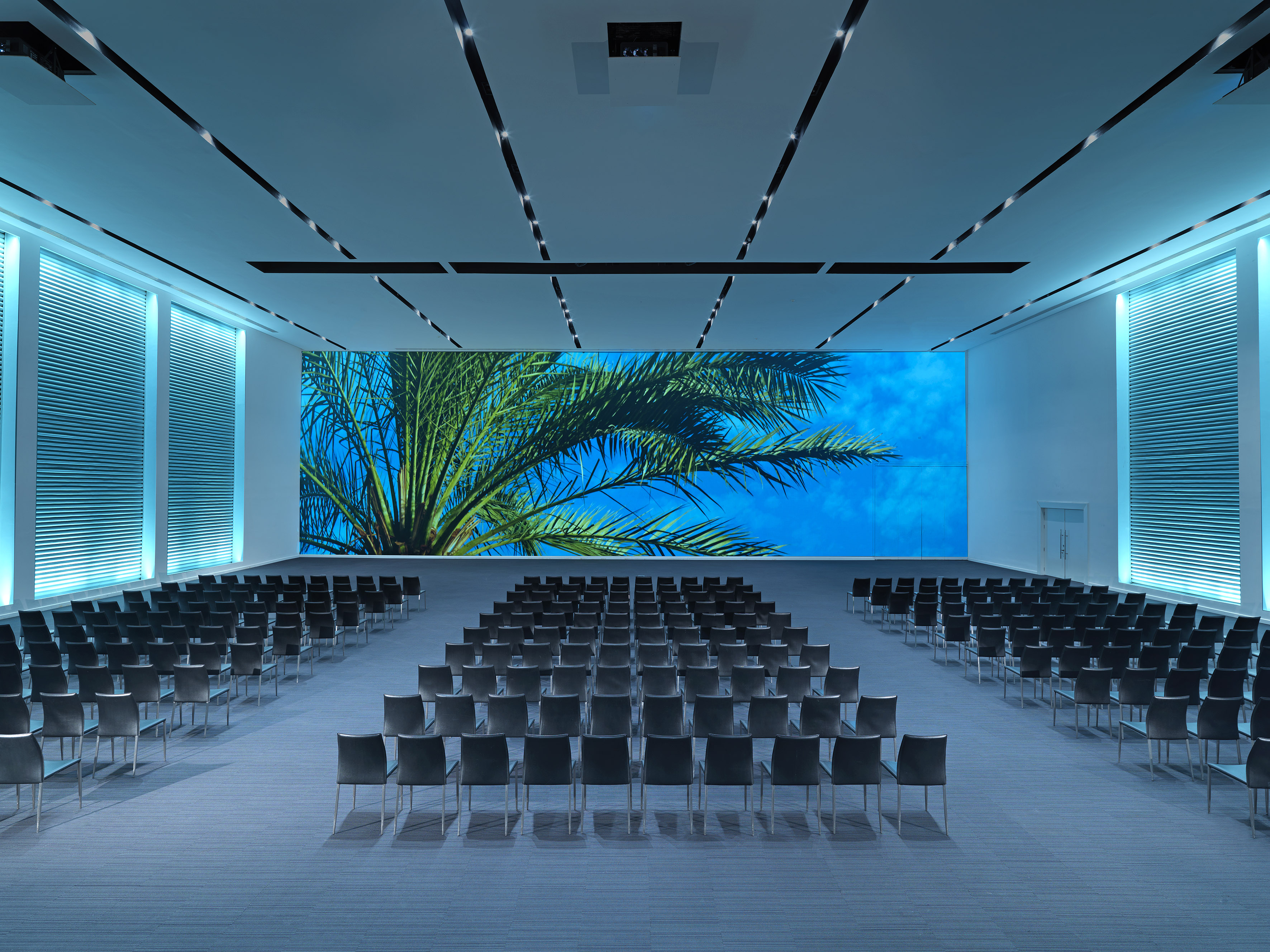 Modern conference room, empty chairs, large palm tree screen, blue lighting.