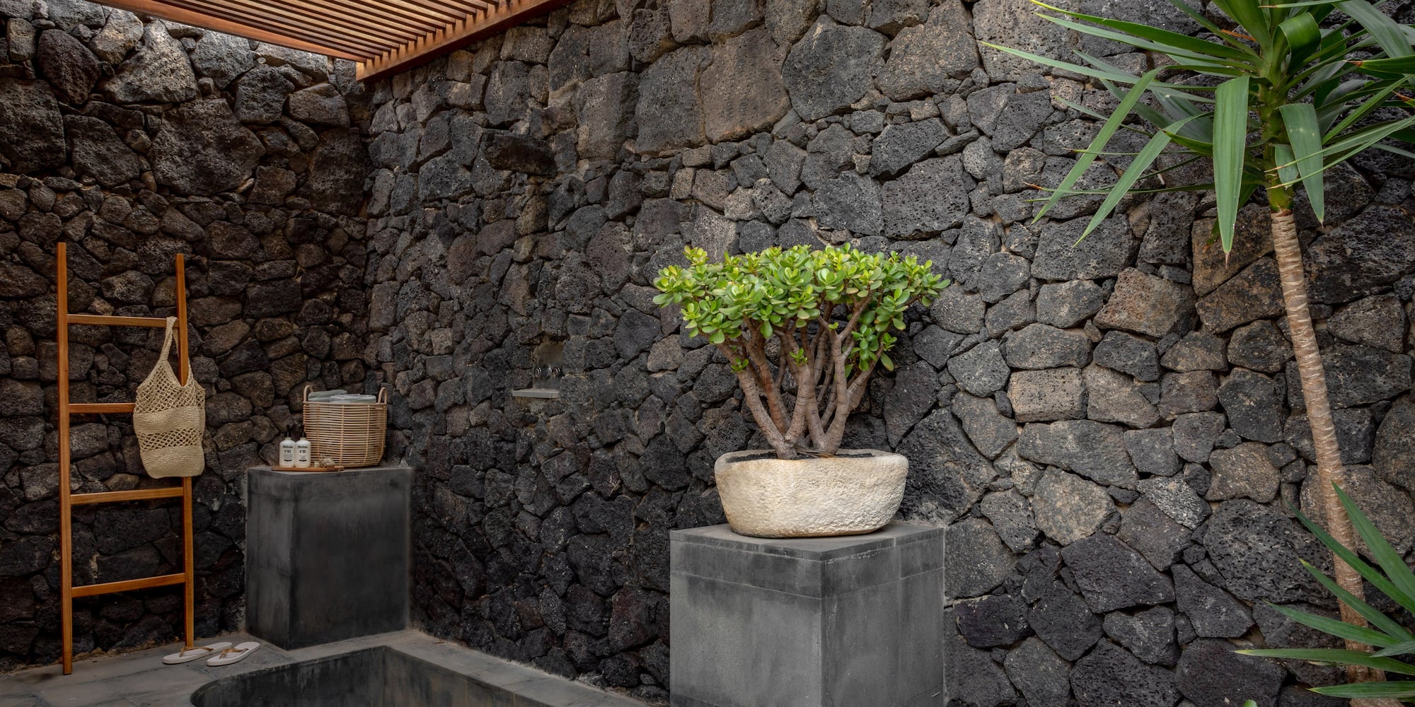 a stone wall with a plant in a pot