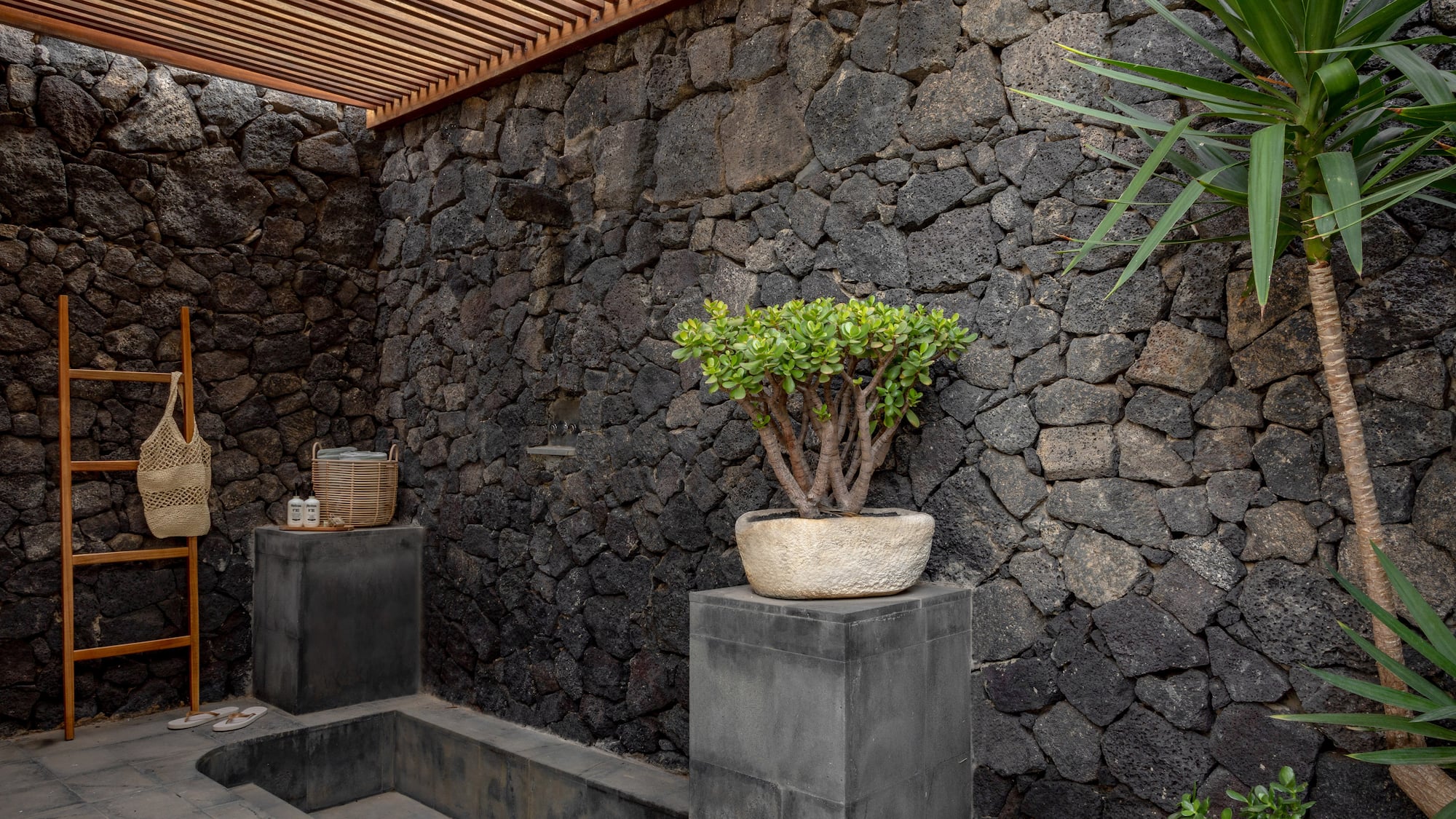 a stone wall with a plant in a pot