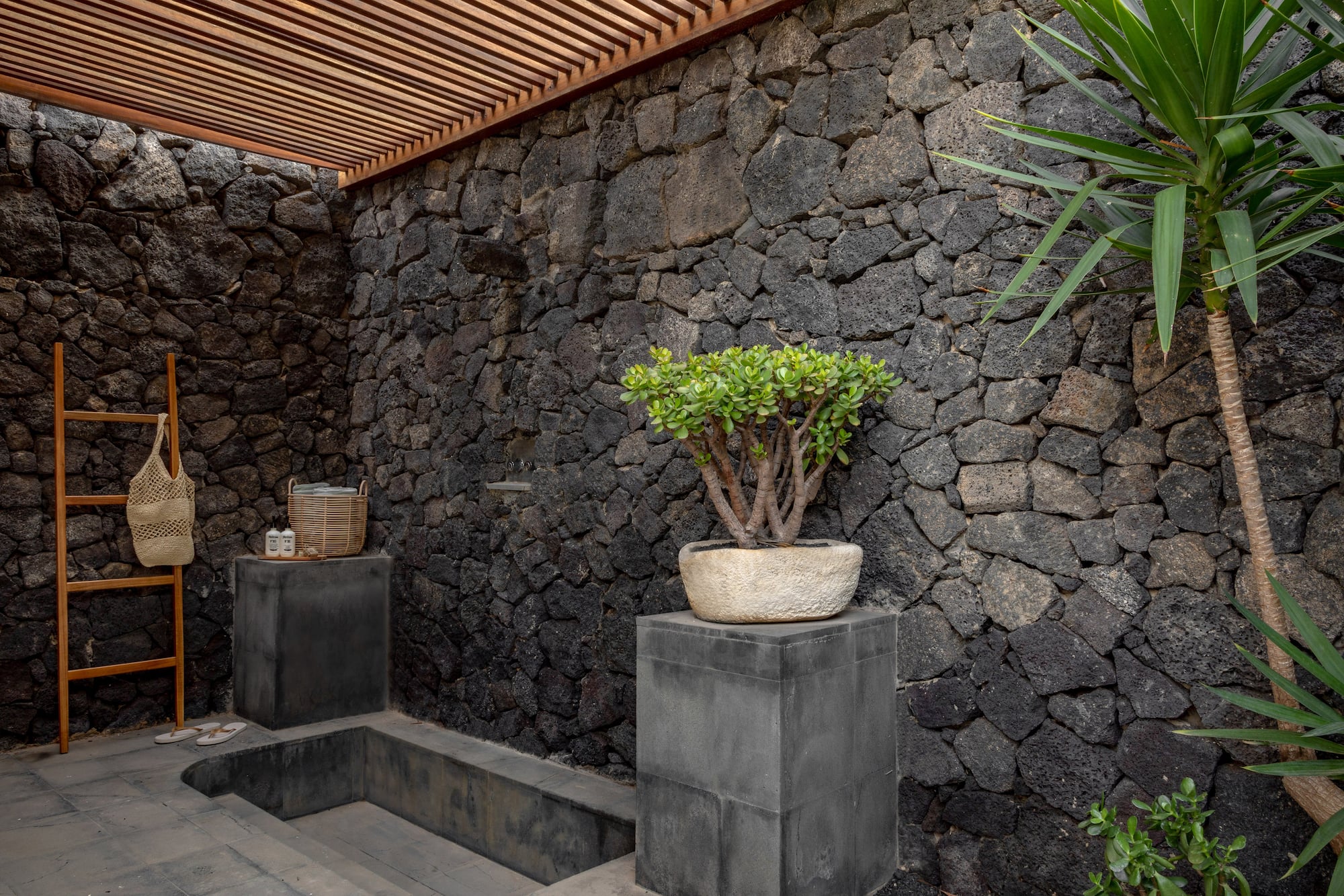 a stone wall with a plant in a pot