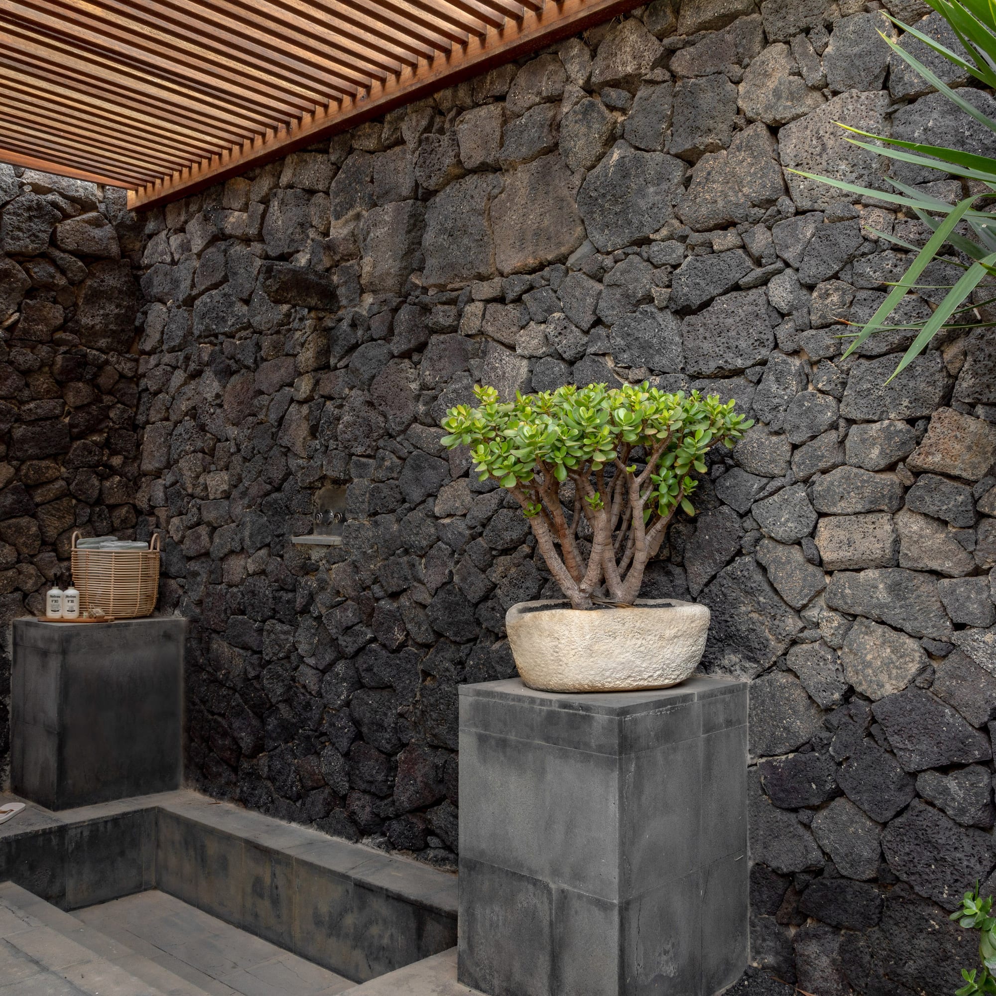 a stone wall with plants and a wooden deck.