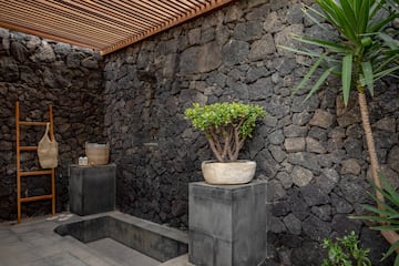 a stone wall with plants and a wooden deck.