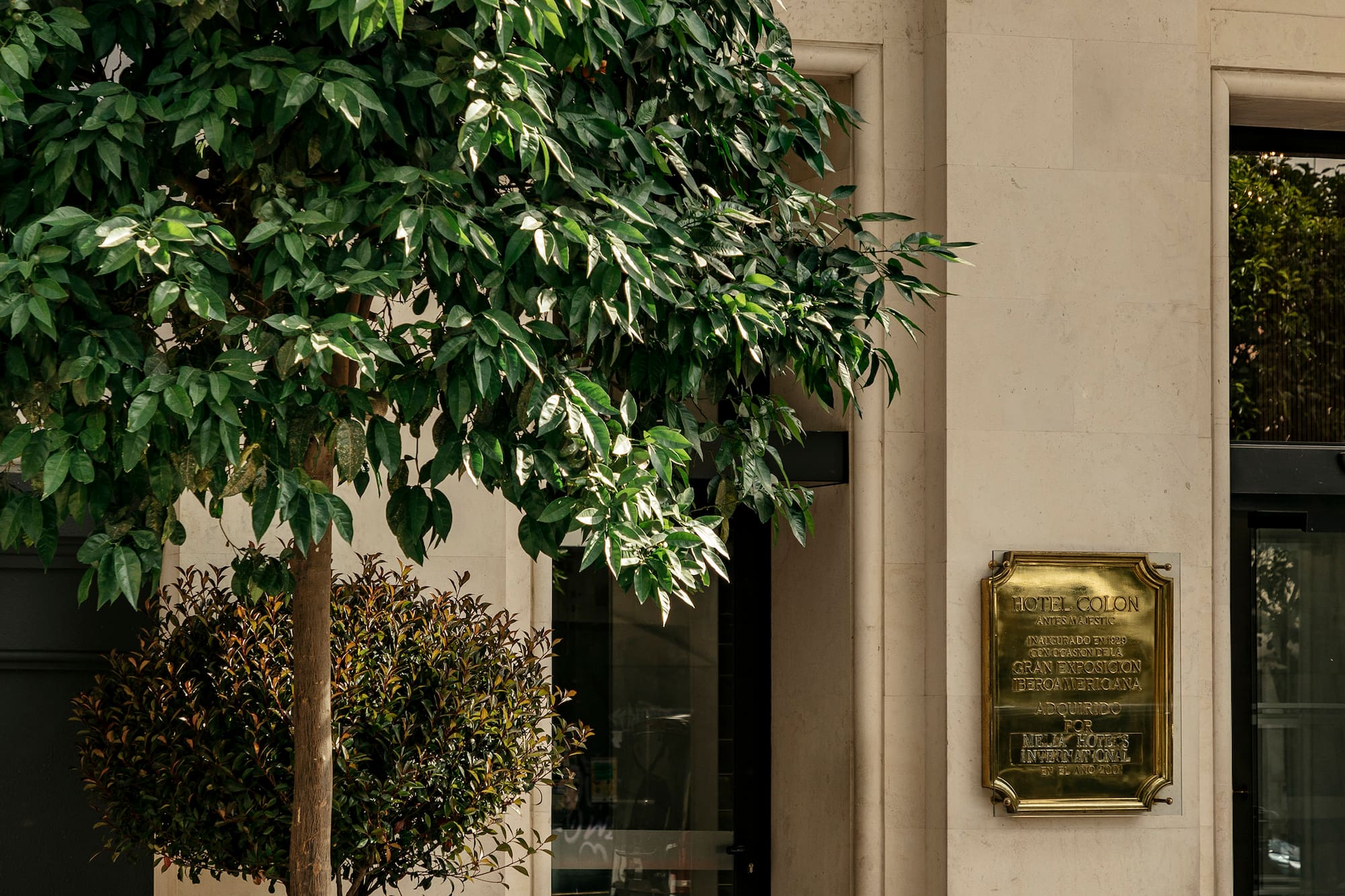 Hotel Colon luxury entrance: stone facade, green tree, gold plaque, and decorative lanterns.