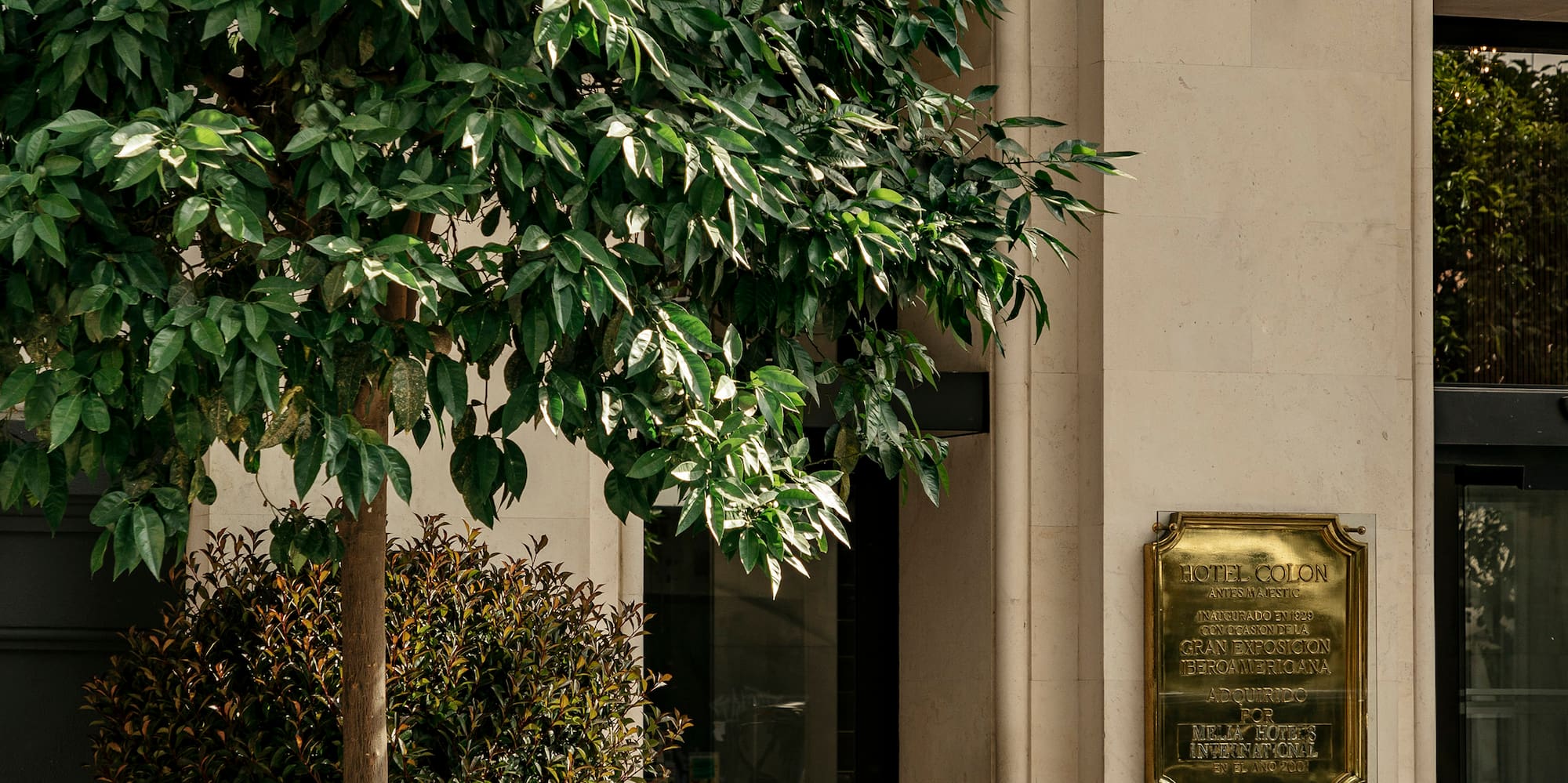 a tree in a pot outside of a building