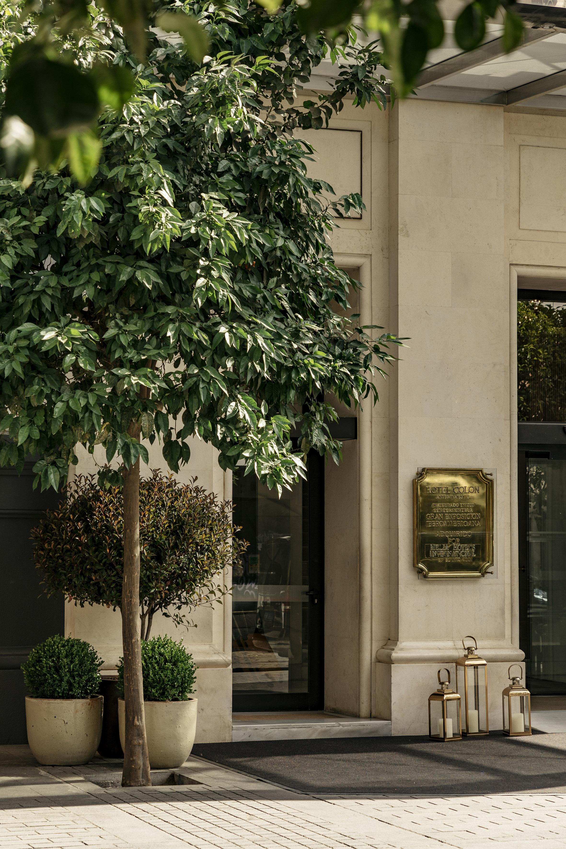Hotel Colon luxury entrance: stone facade, green tree, gold plaque, and decorative lanterns.