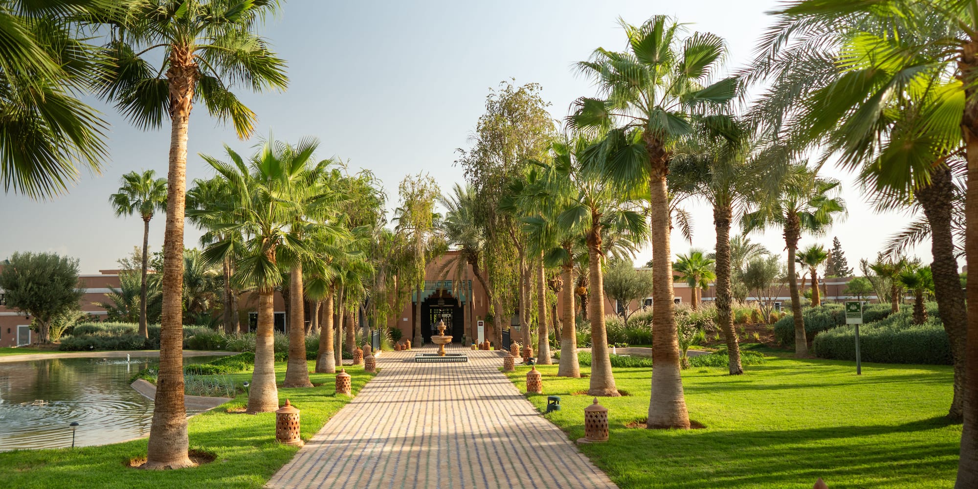 a walkway with palm trees and a building