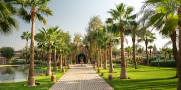 a walkway with palm trees and a building