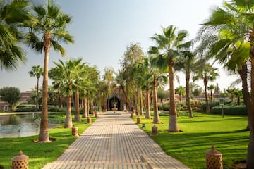 a walkway with palm trees and a building