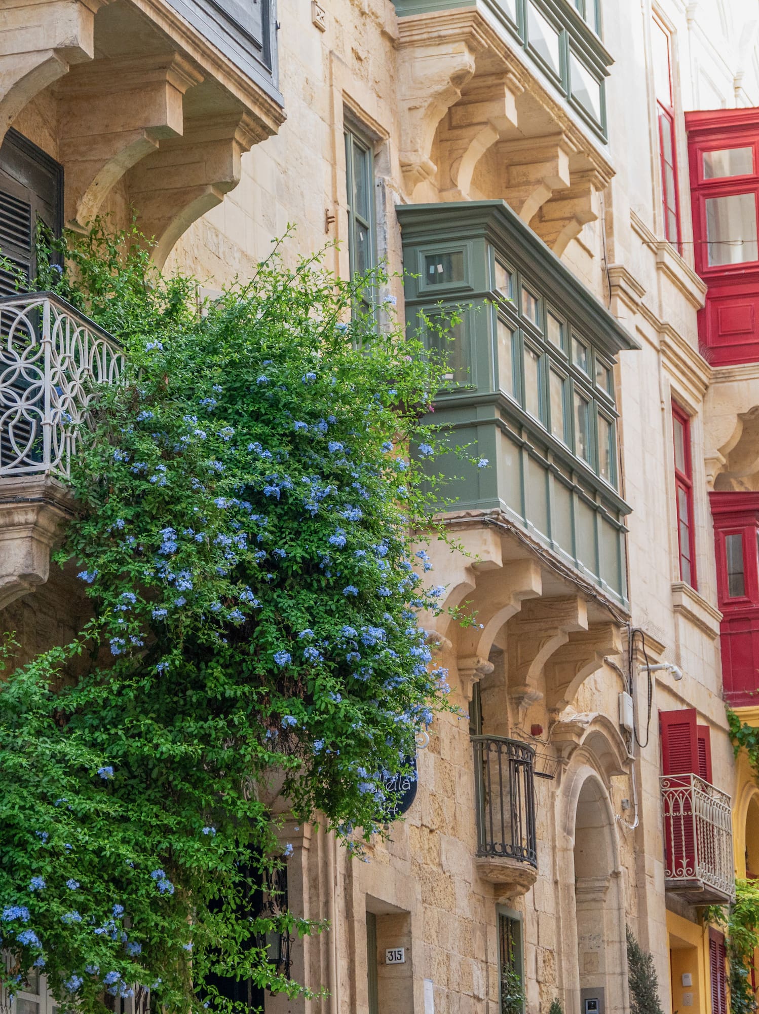 a building with many windows and a plant growing on the side