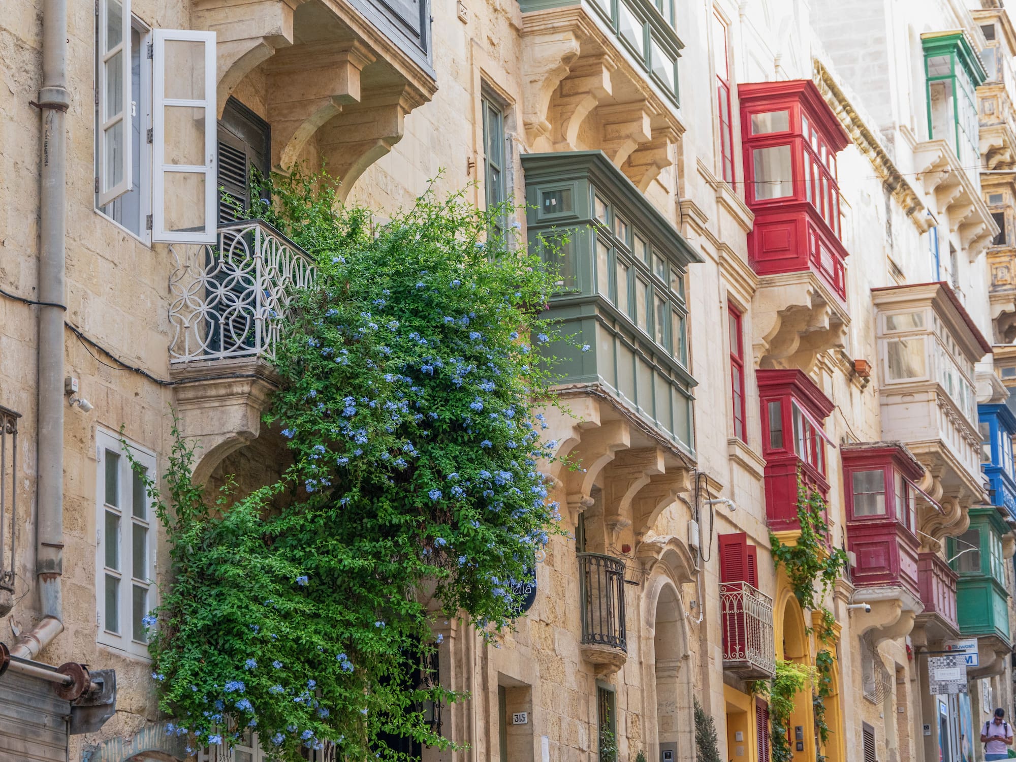 a building with many windows and a plant growing on the side