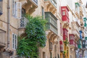 a building with many windows and a plant growing on the side