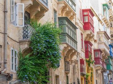 a building with many windows and a plant growing on the side