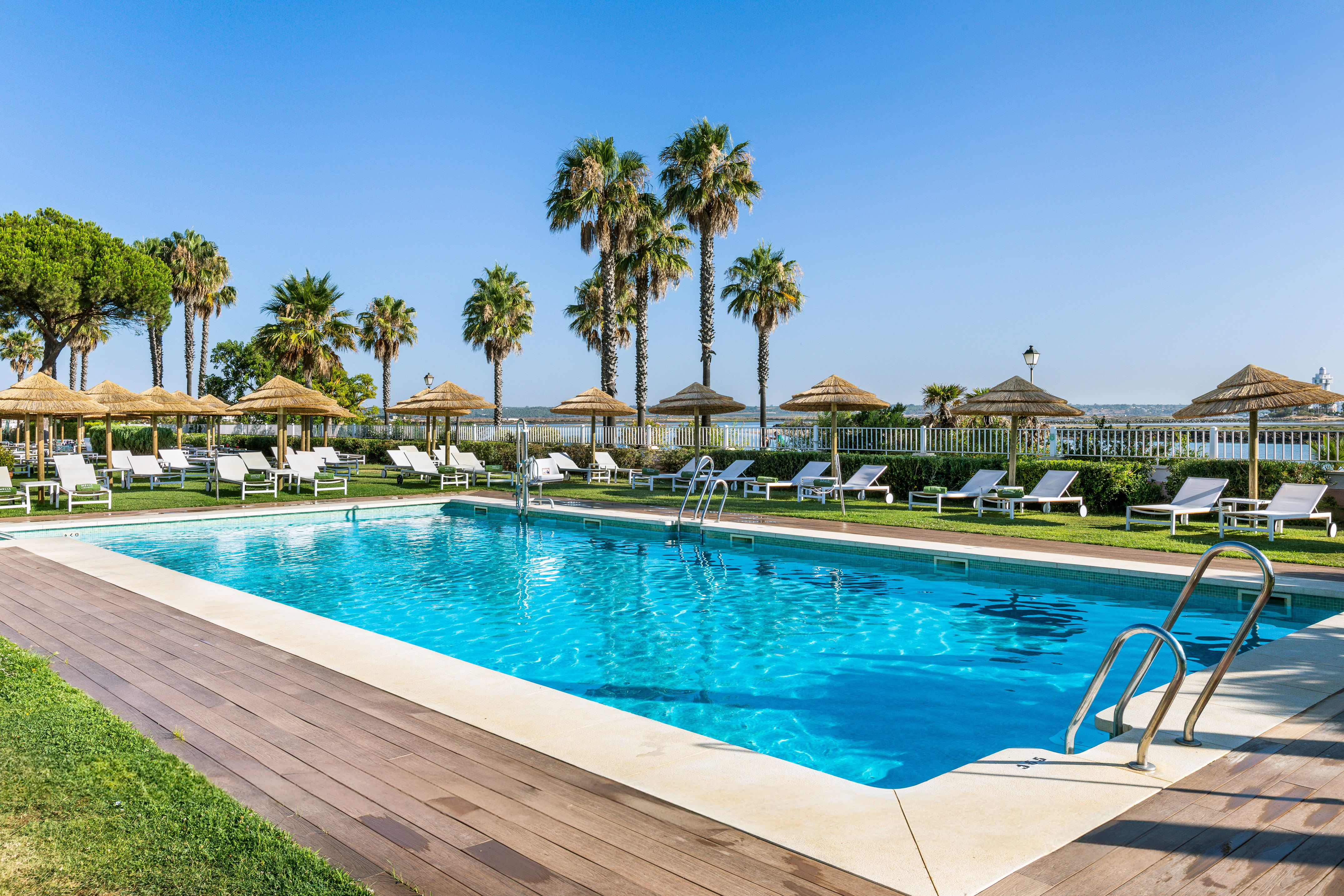 Sunny outdoor resort pool with palm trees, sun loungers, and thatched umbrellas.