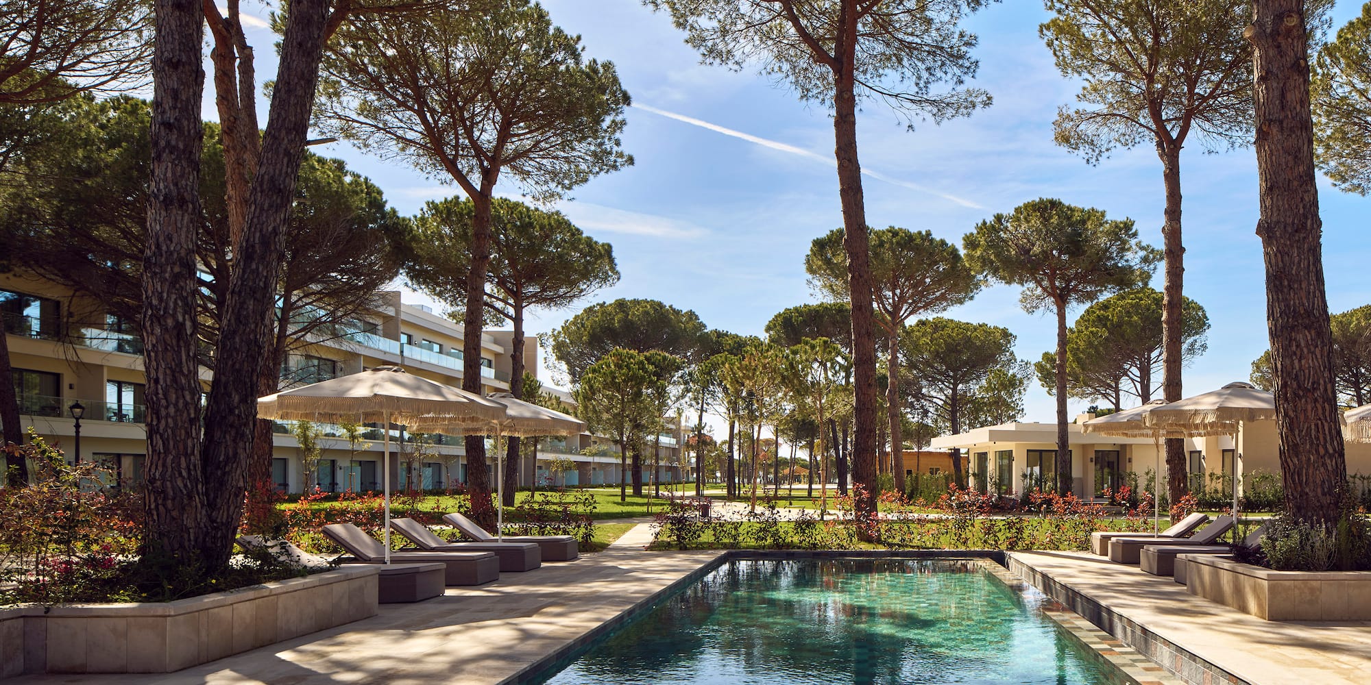 a pool with umbrellas and chairs in a resort