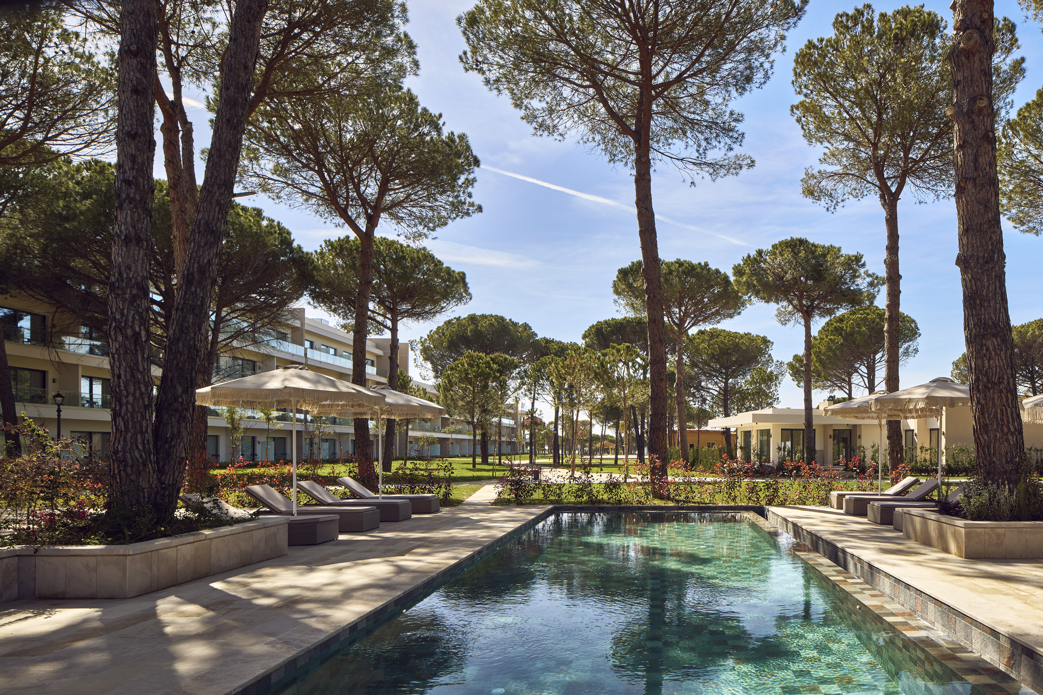 Luxury resort pool with sun loungers, pine trees, and modern buildings.
