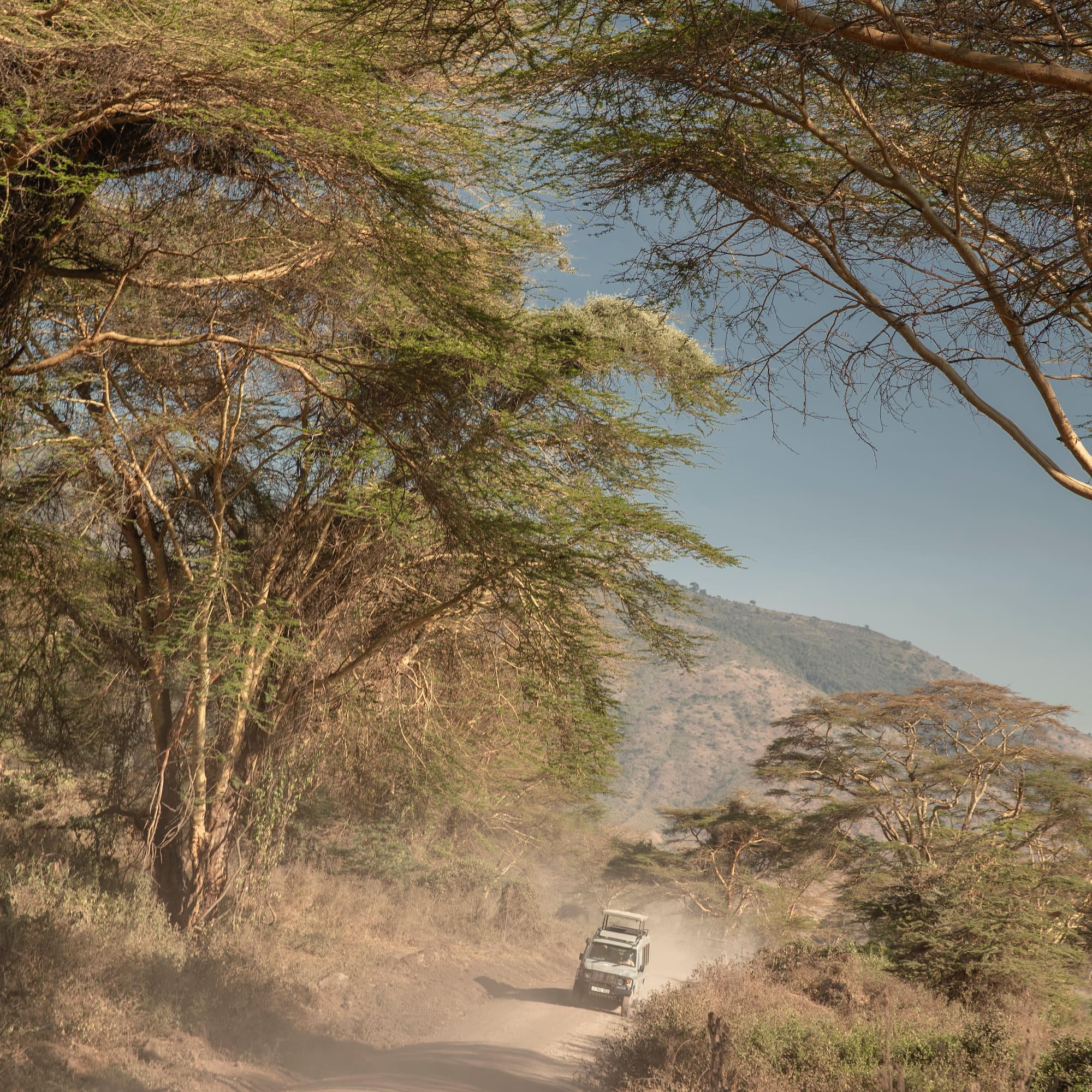 a car driving on a dirt road with trees and mountains in the background