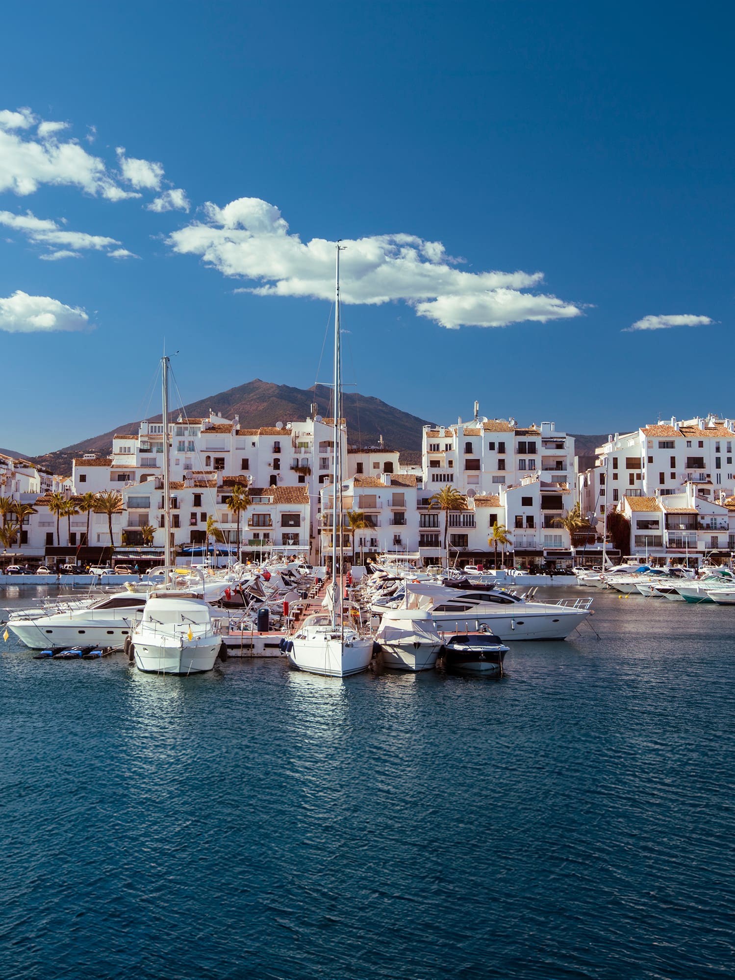a group of boats in a harbor