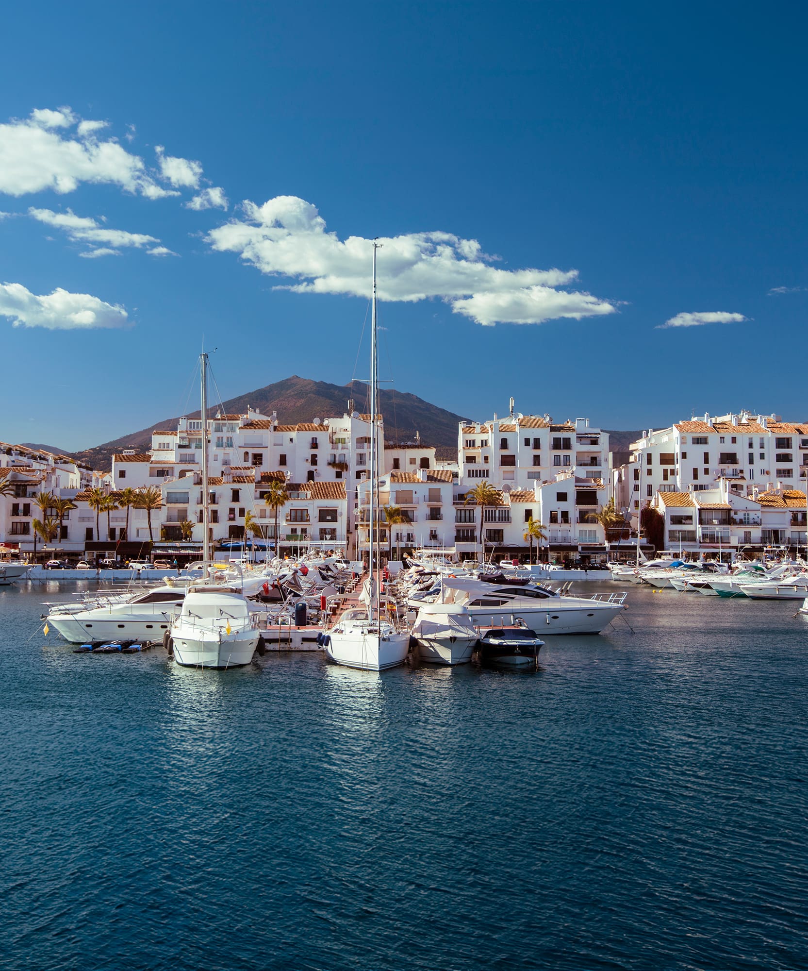 a group of boats in a harbor
