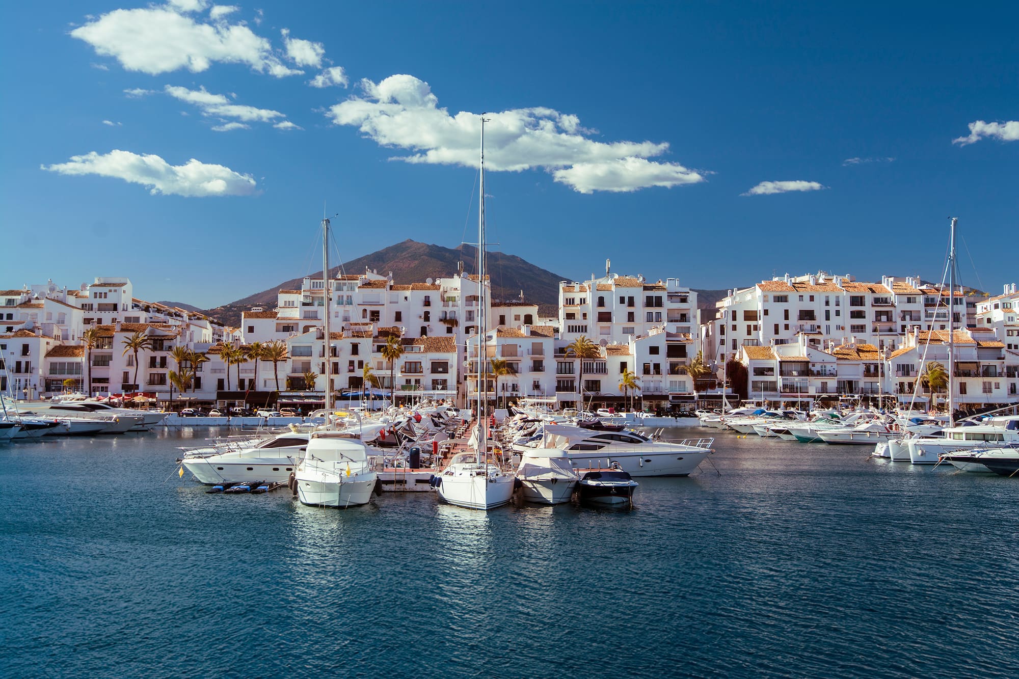 a group of boats in a harbor