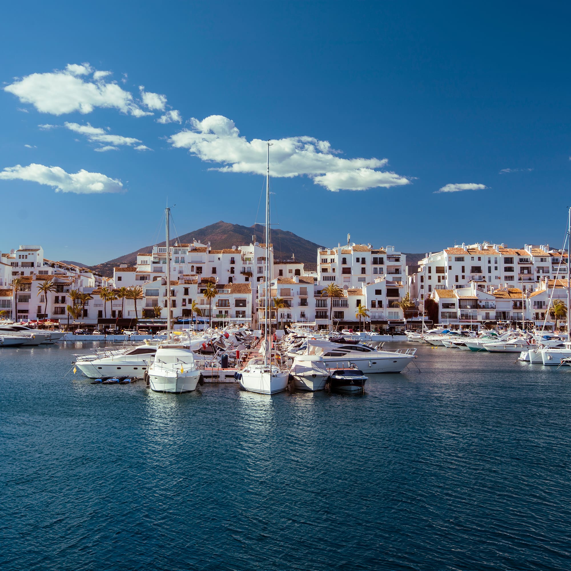 a group of boats in a harbor