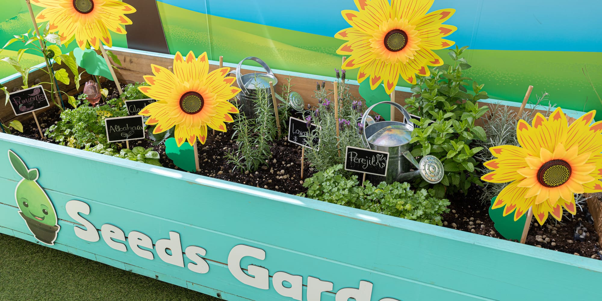 Blue 'Seeds Garden' planter box with various herbs and sunflowers.