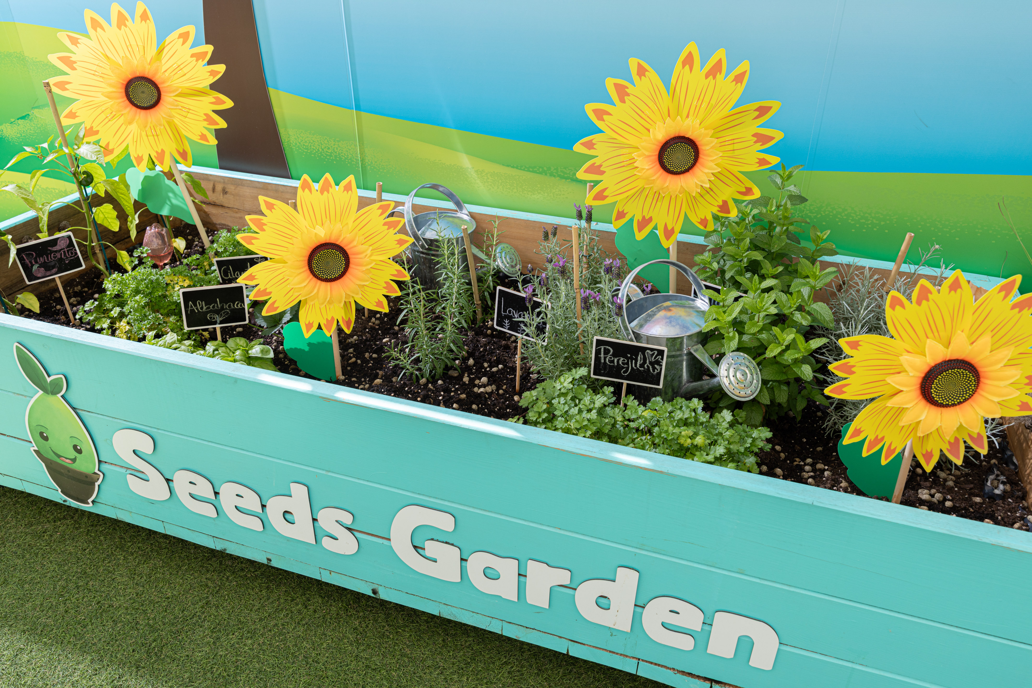 Blue 'Seeds Garden' planter box with various herbs and sunflowers.