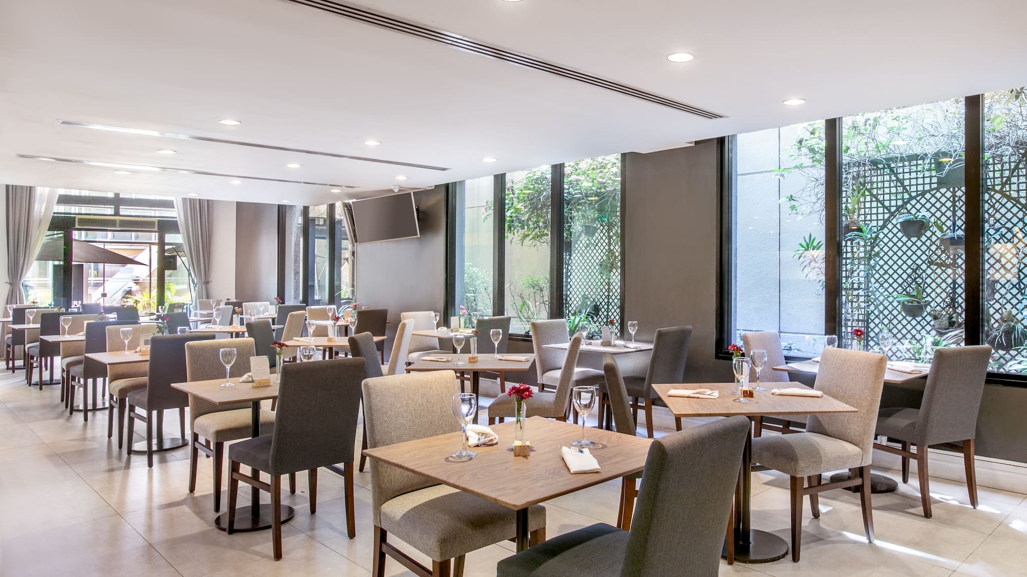 a ceiling with lights and a window