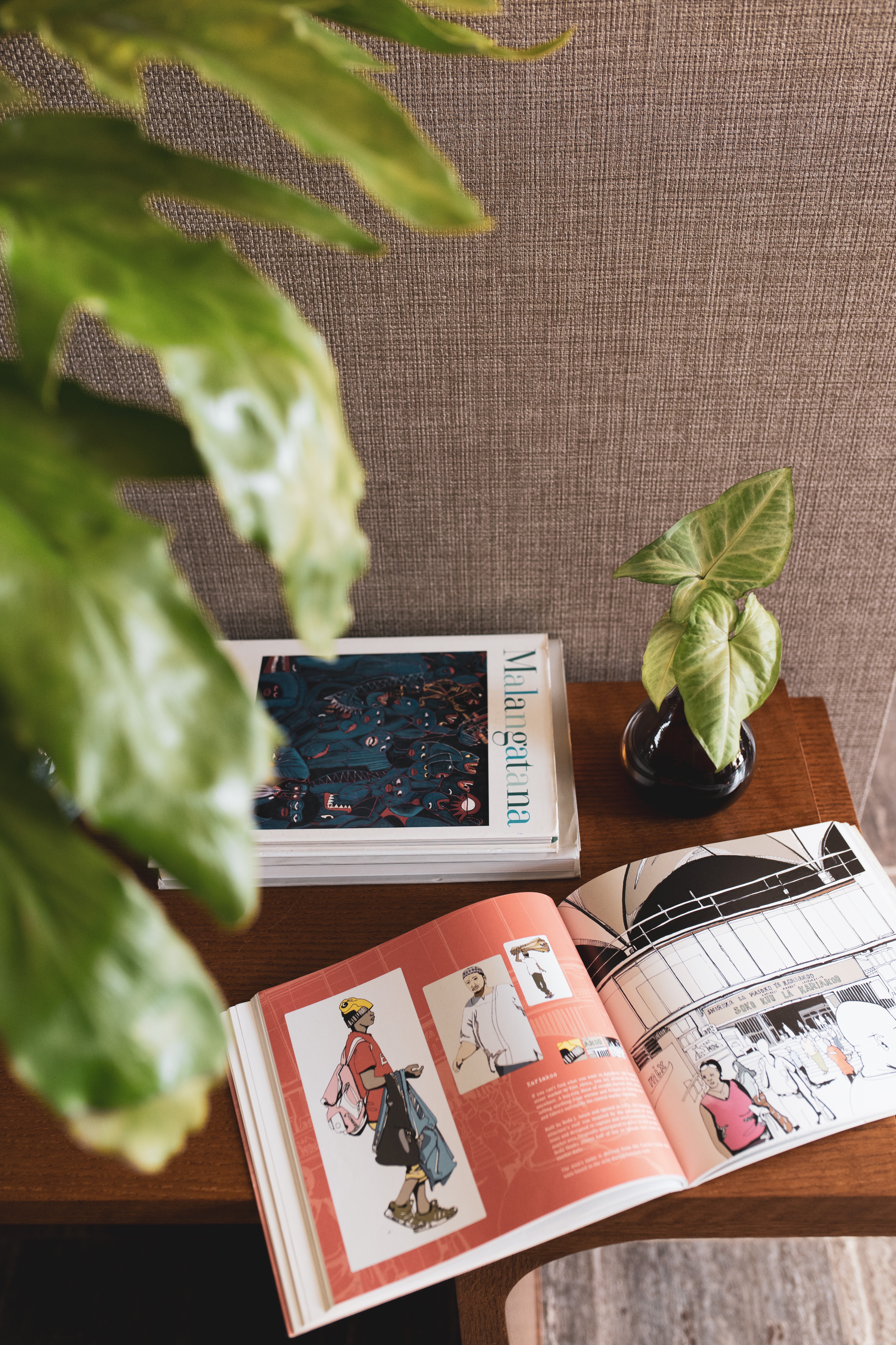 Open illustrated art book, "Malangatana" book, and house plants on wooden table.