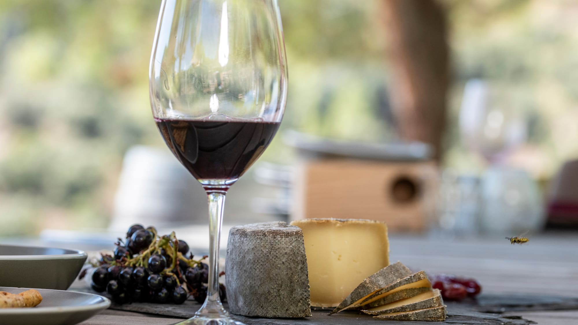 a glass of wine next to cheese and grapes