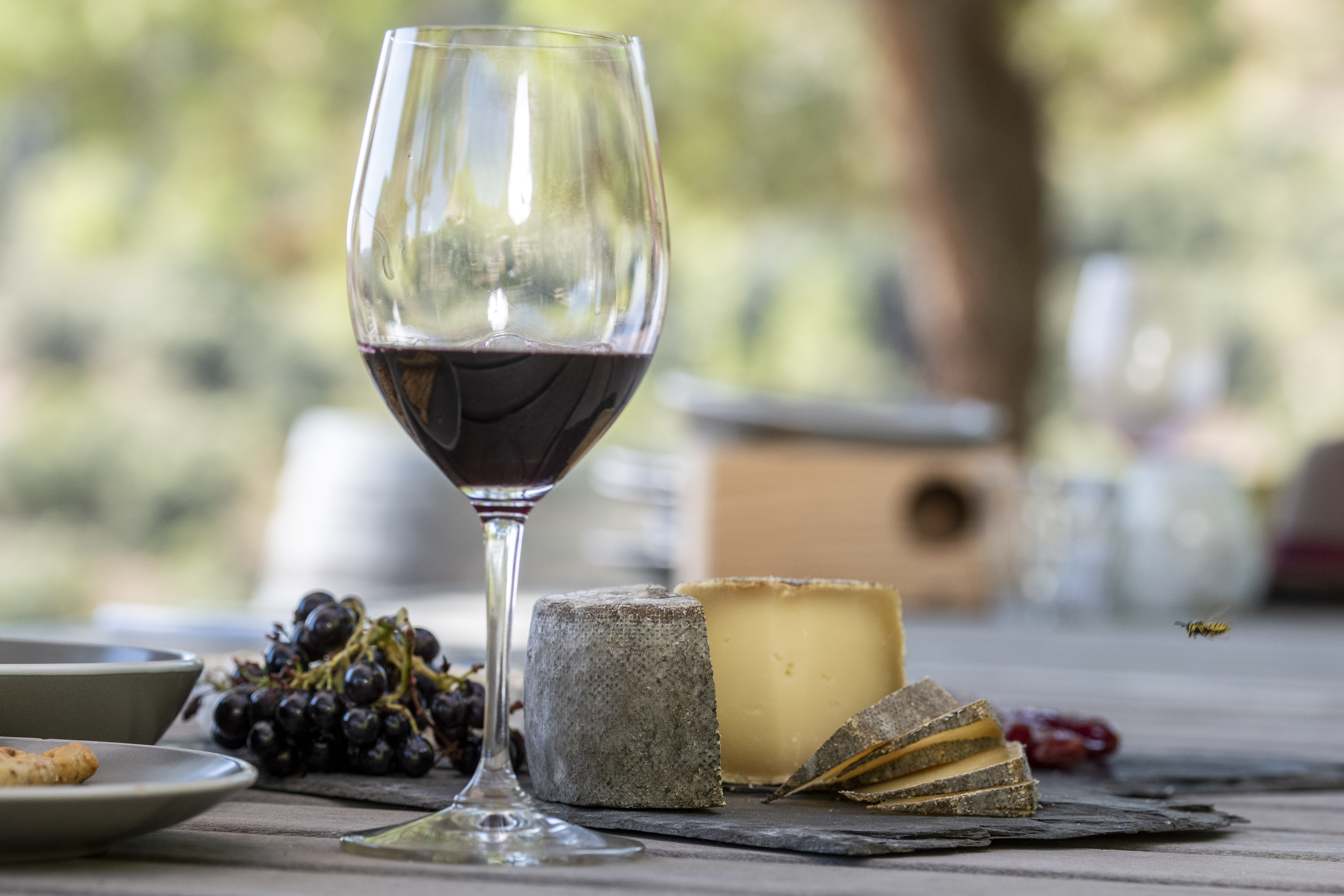 a glass of wine next to cheese and grapes