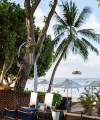 a beach with palm trees and chairs