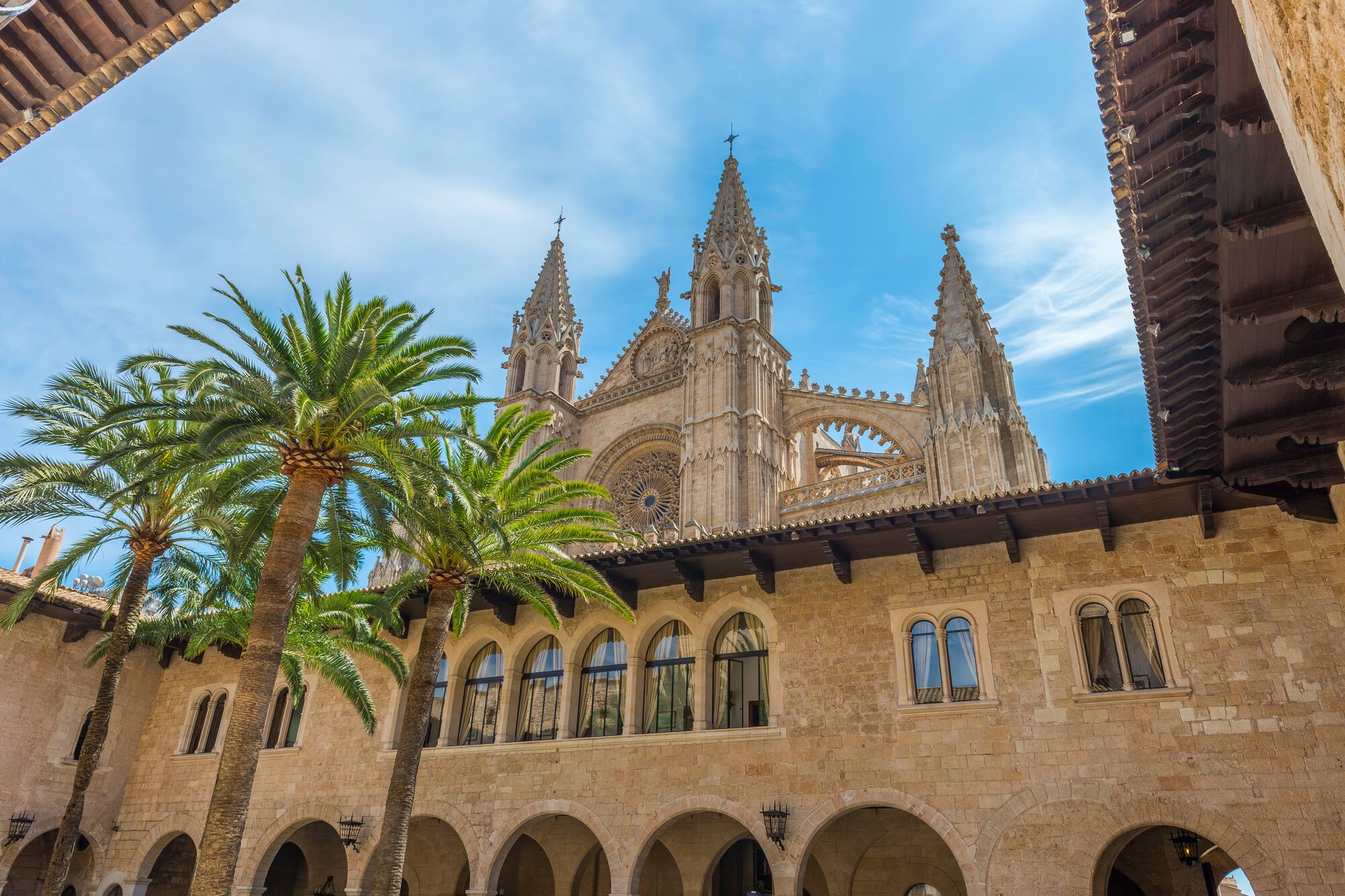 a building with a large window and palm trees