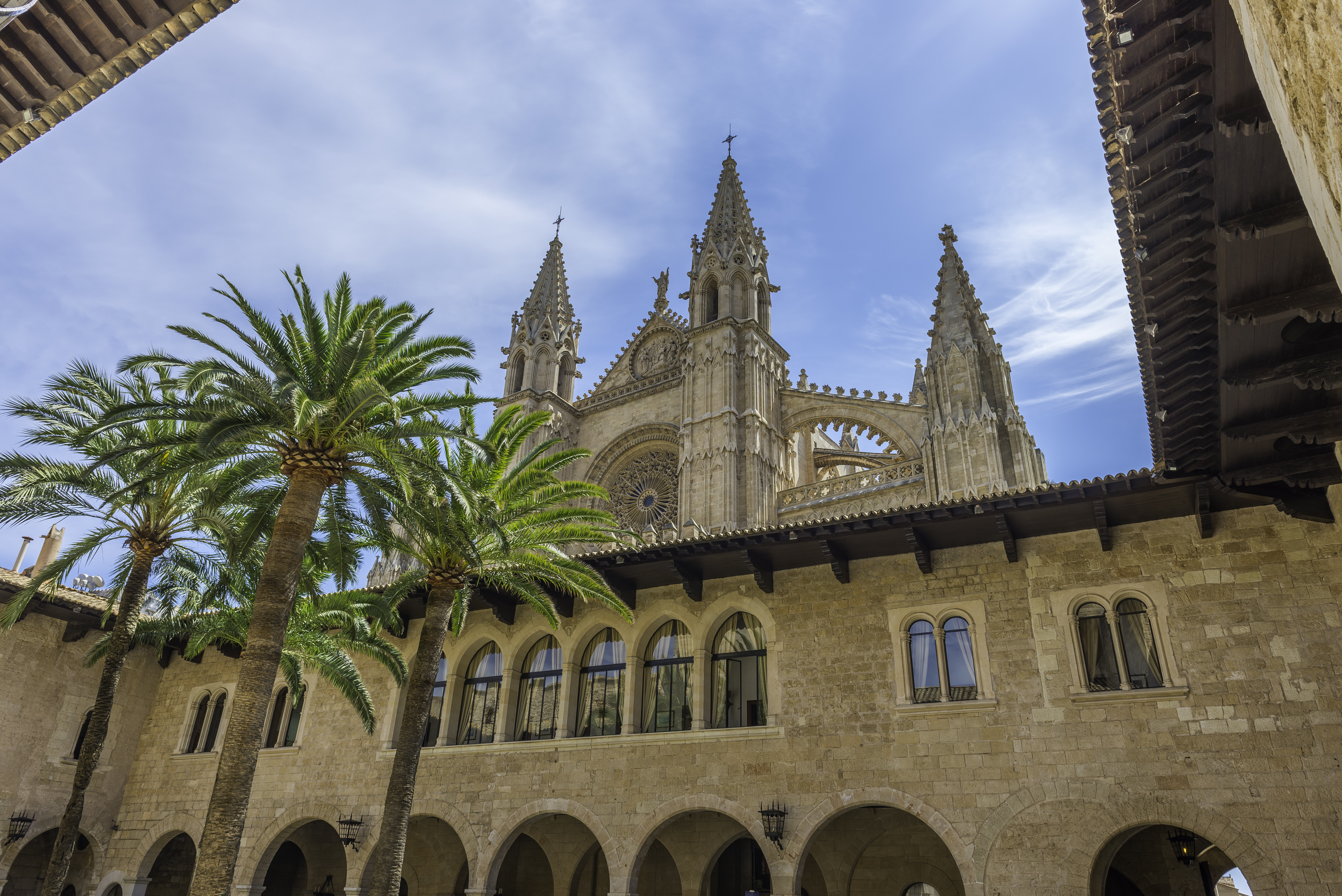 a building with a large window and palm trees