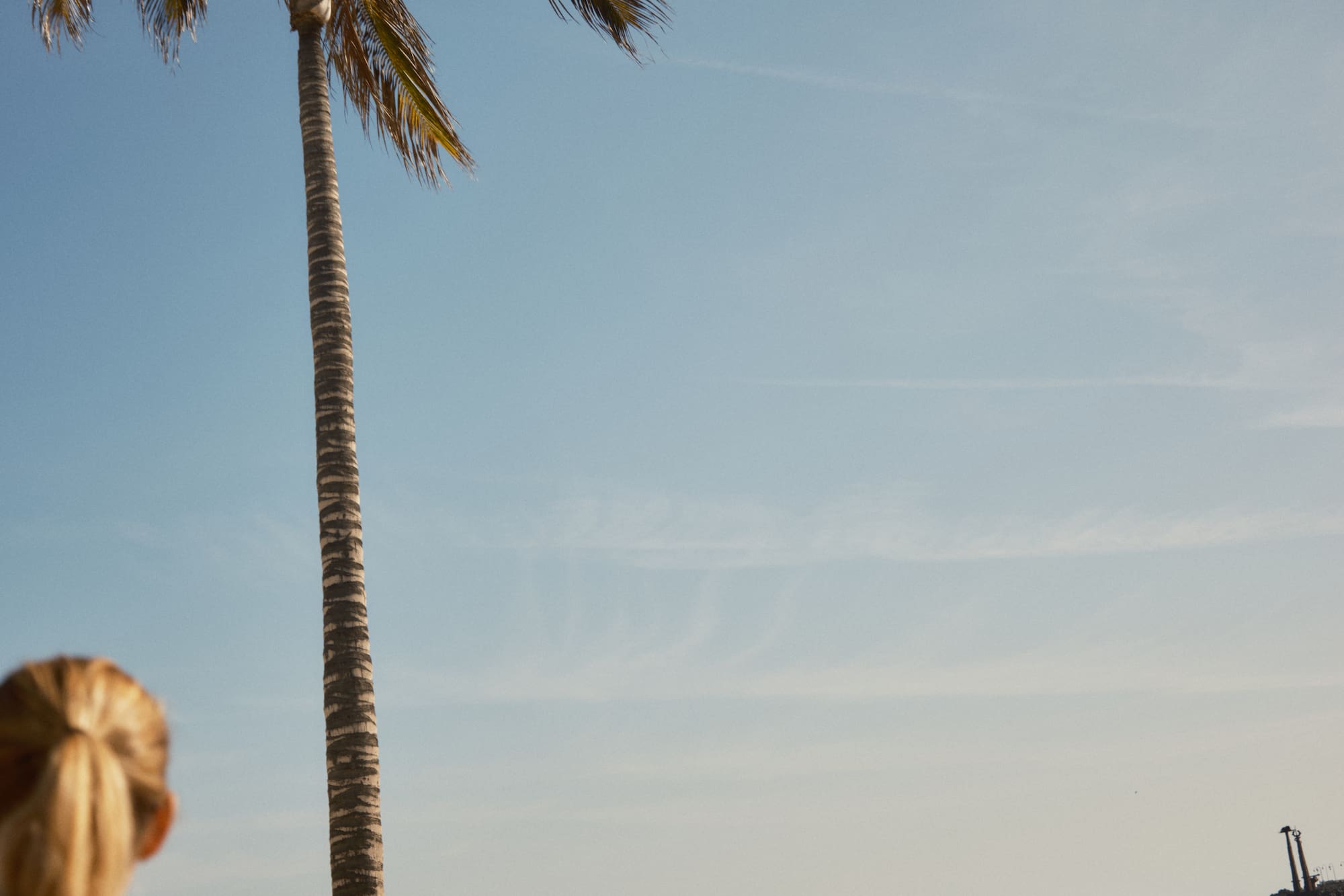 Blonde woman holding cocktail, watching windsurfers on tropical ocean by a palm tree.