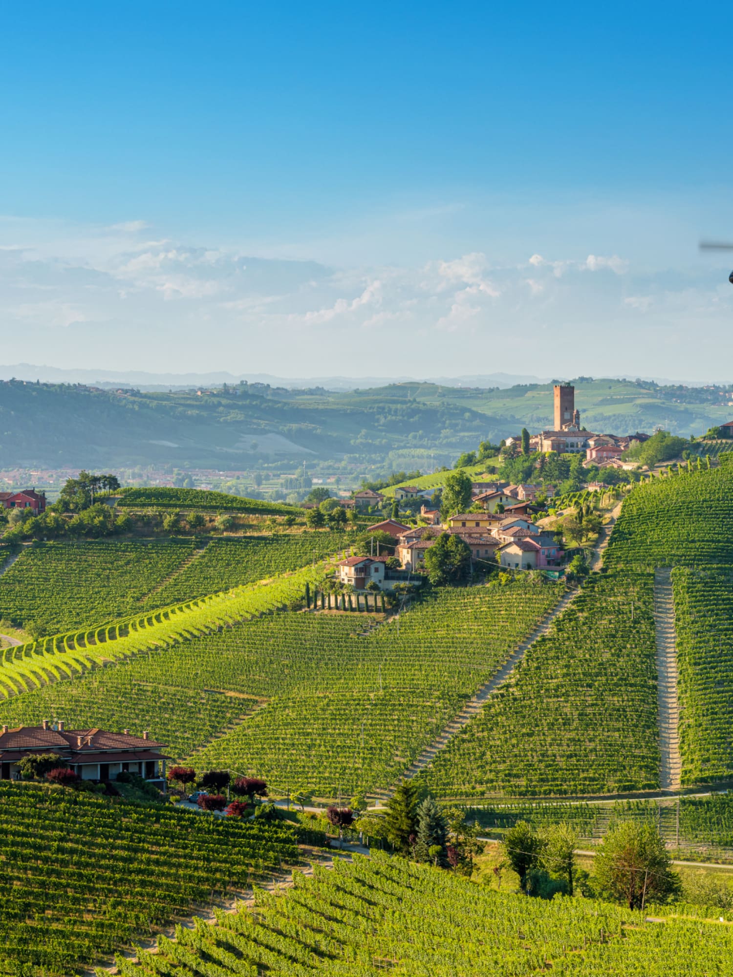 Helicopter over rolling green vineyards and hilltop village in a sunny wine region.